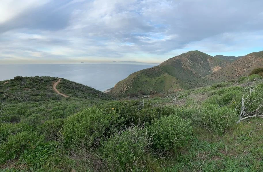 Backpacking the Santa Monica Mountains’ Backbone Trail — Treeline Review