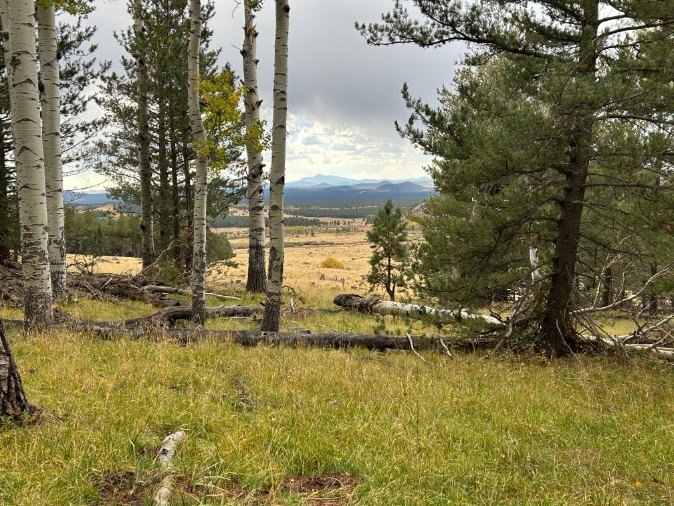 arizona-trail-north-flagstaff.jpg