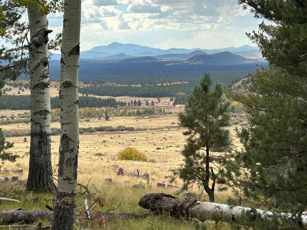 arizona-trail-looking-north-humphries.jpg