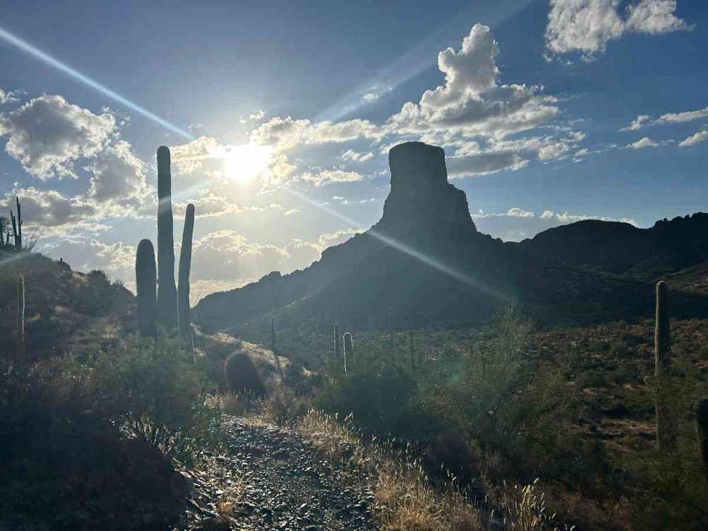 arizona-trail-picketpost-cactus.jpg