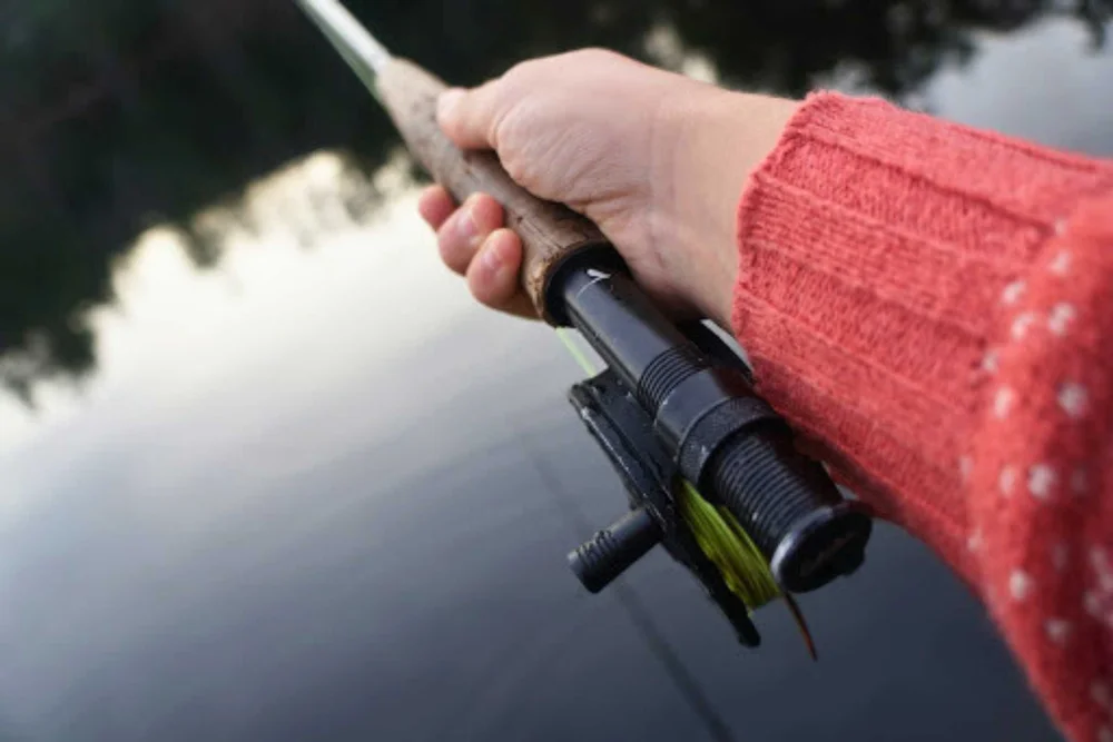harga reel pancing shimano terbaru 2017 Reel Pancing Shimano Asli Japan 5000 - Jual Reel Pancing Shimano Asli Japan  5000 Terbaru Indonesia | Reel Pancing Shimano Asli Japan | Reel Shimano  Nasci 5000 | Reel Shino Pegasus 5000