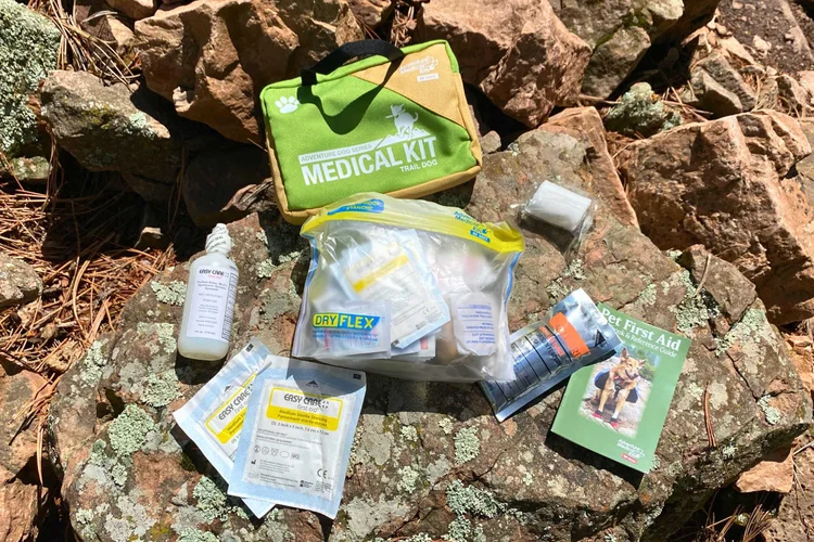 How to Build a Dog First Aid Kit for Home And Travel: Essential Guide
