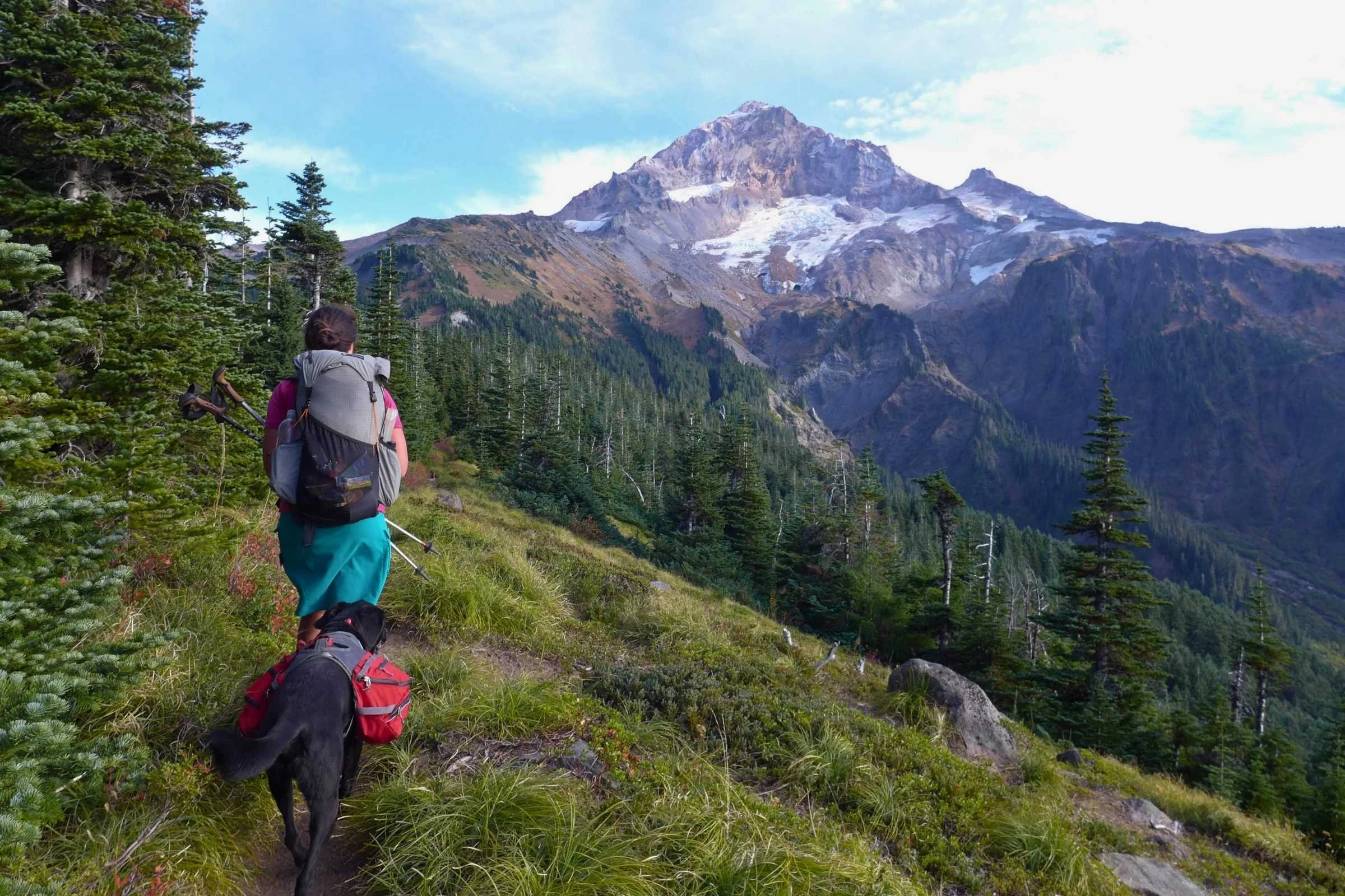 Timberline Where to Go Guide