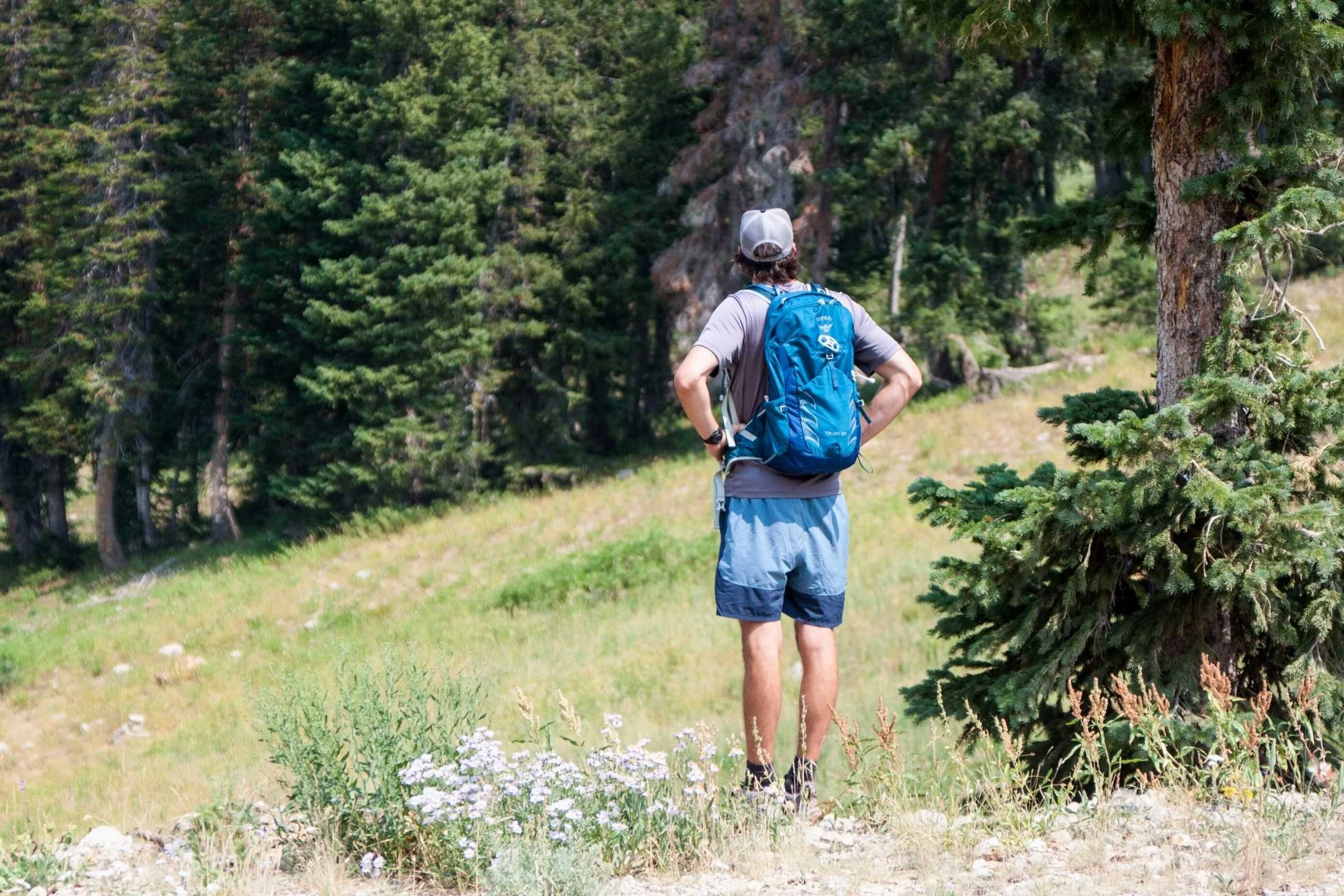 The hipbelt of the Talon and Tempest packs adds extra comfort to the hiking experience. Photo courtesy of Liam Purtle