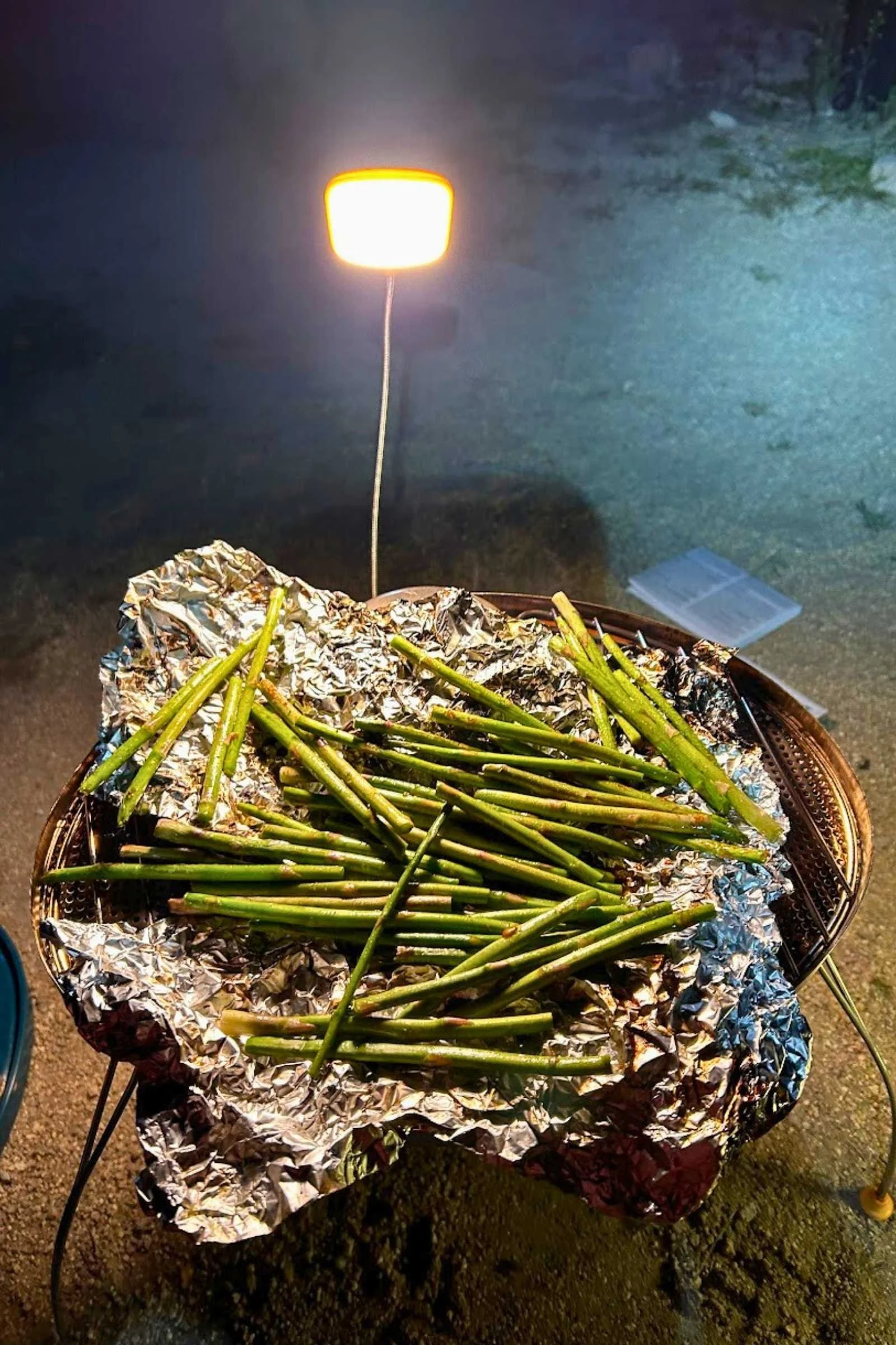 The Biolite Campstove 2 comes with a light that runs off the pellet stove (no electricity or batteries needed).