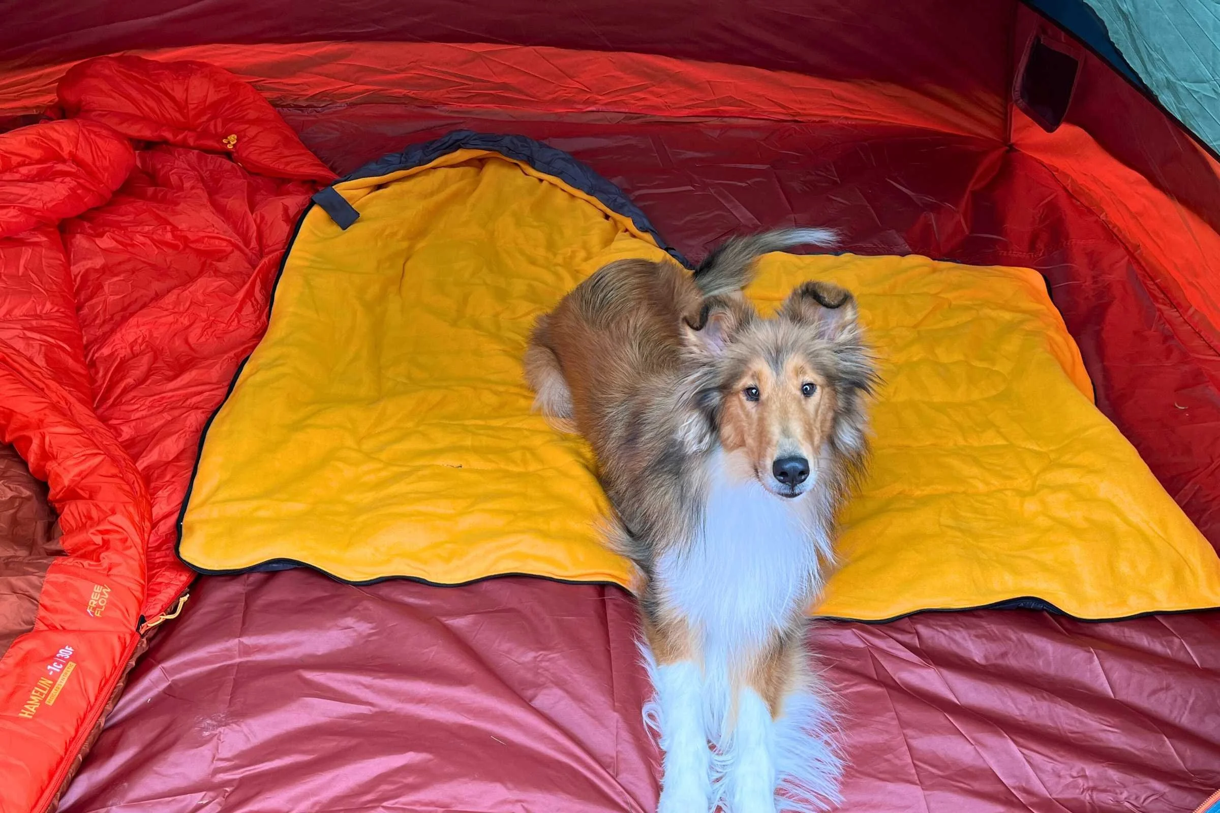 The fleece lining in the Lifeunion dog sleeping bag does a lot of heavy lifting to keep your dog warm. Photo by Jae Thomas