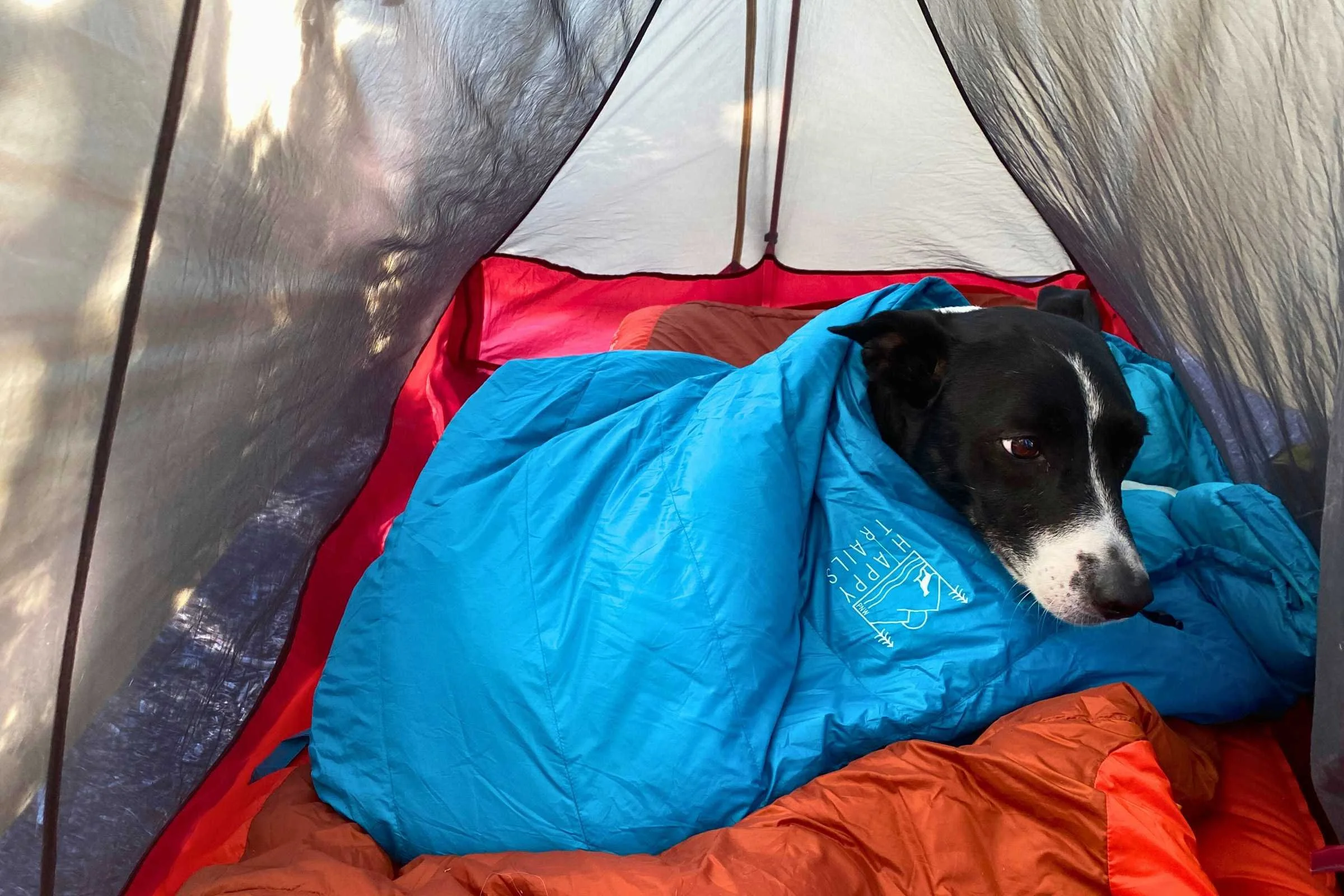 Miso stayed incredibly warm on alpine backpacking trips while using the Happy Trails bag. Photo by Jae Thomas