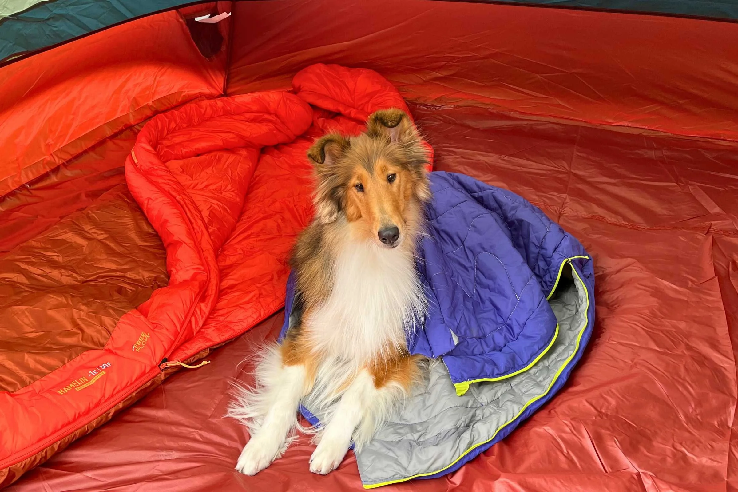 This Ruffwear sleeping bag has been my dogs’ steady companion for over five years. Photo by Jae Thomas