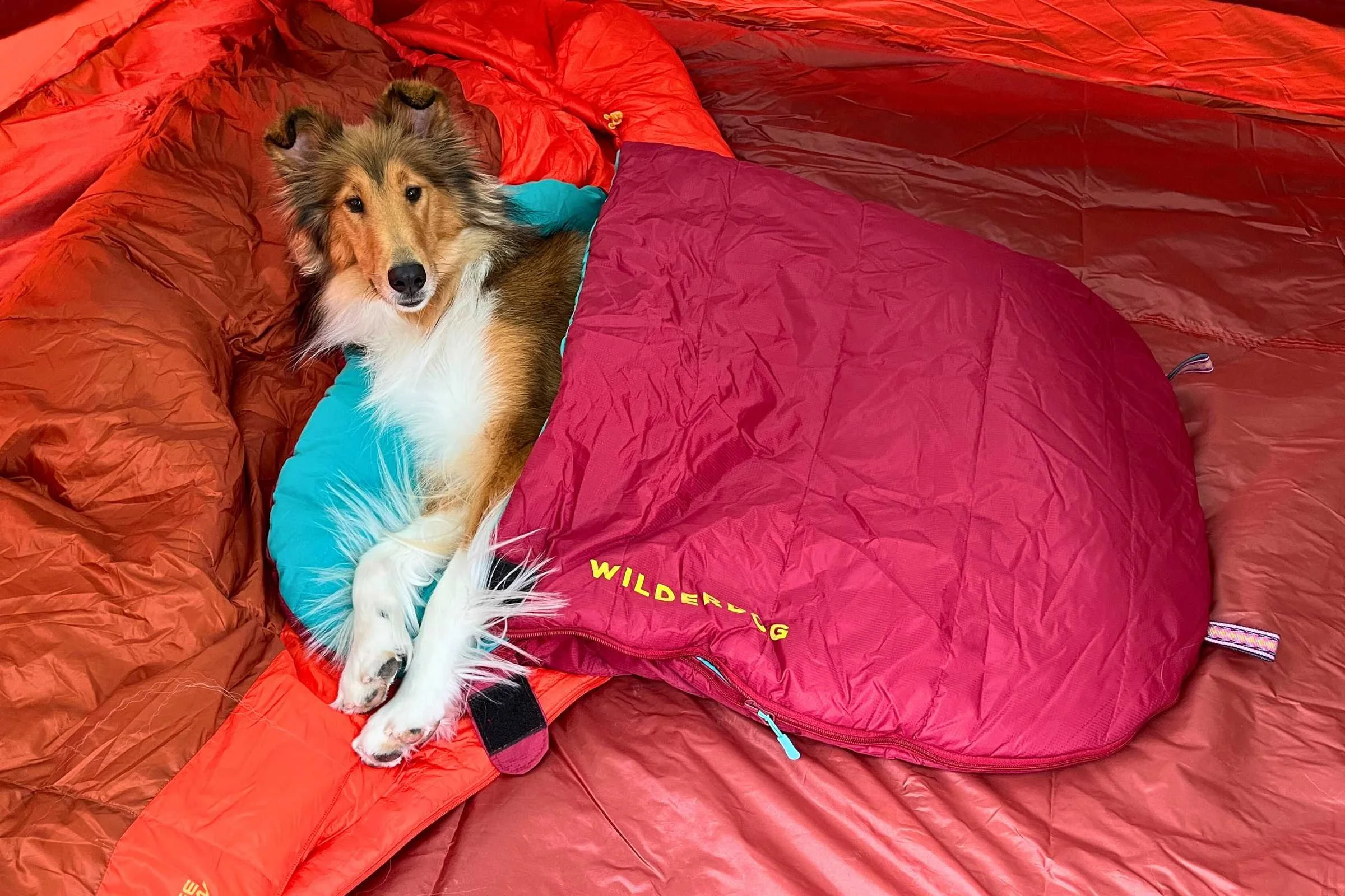 The Wilderdog sleeping bag is super durable and lofty. Photo by Jae Thomas