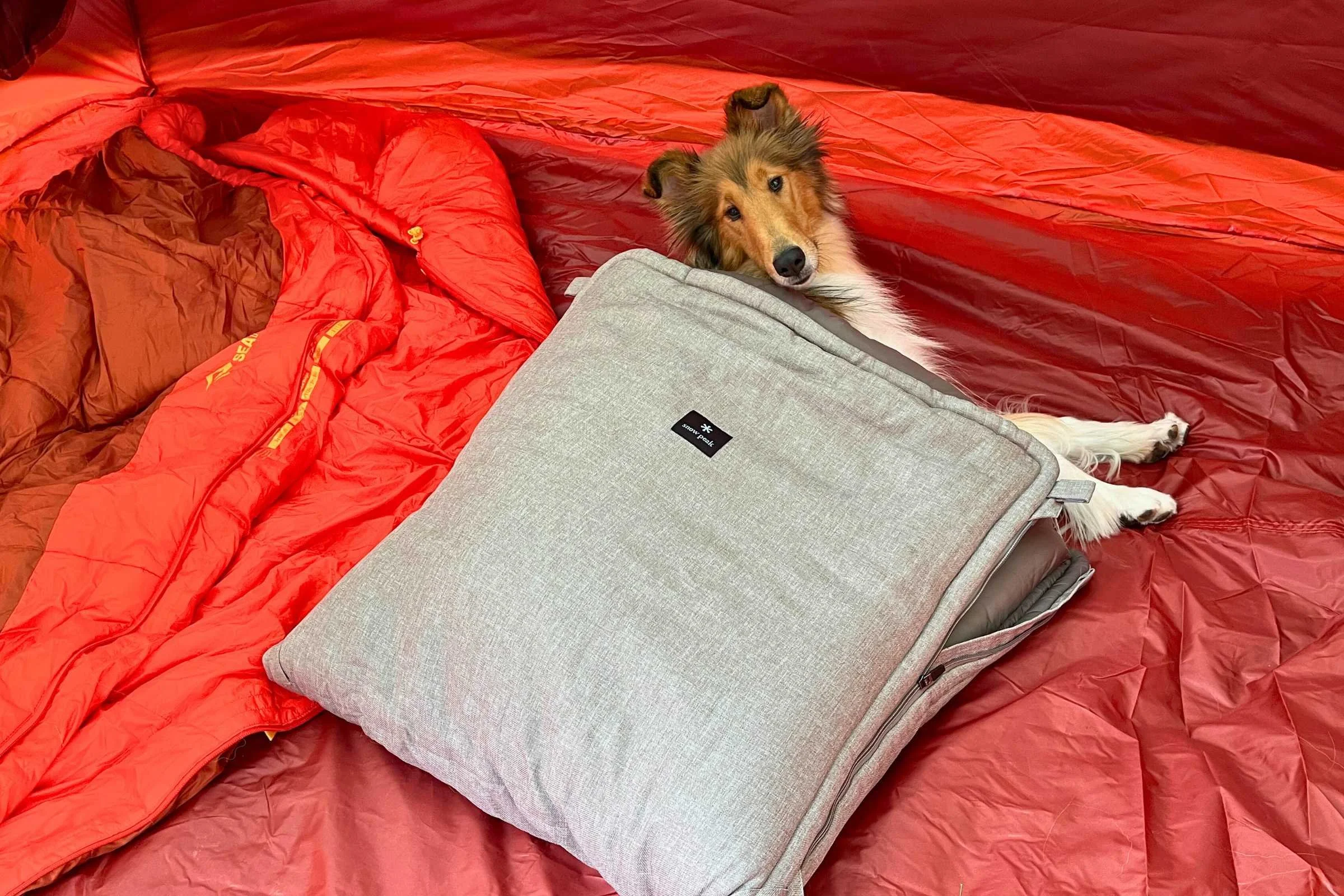 The Snowpeak Dog Ofuton bag is very padded and warm. Though this size is intended for small dogs, Dashi liked curling up in it. Photo by Jae Thomas