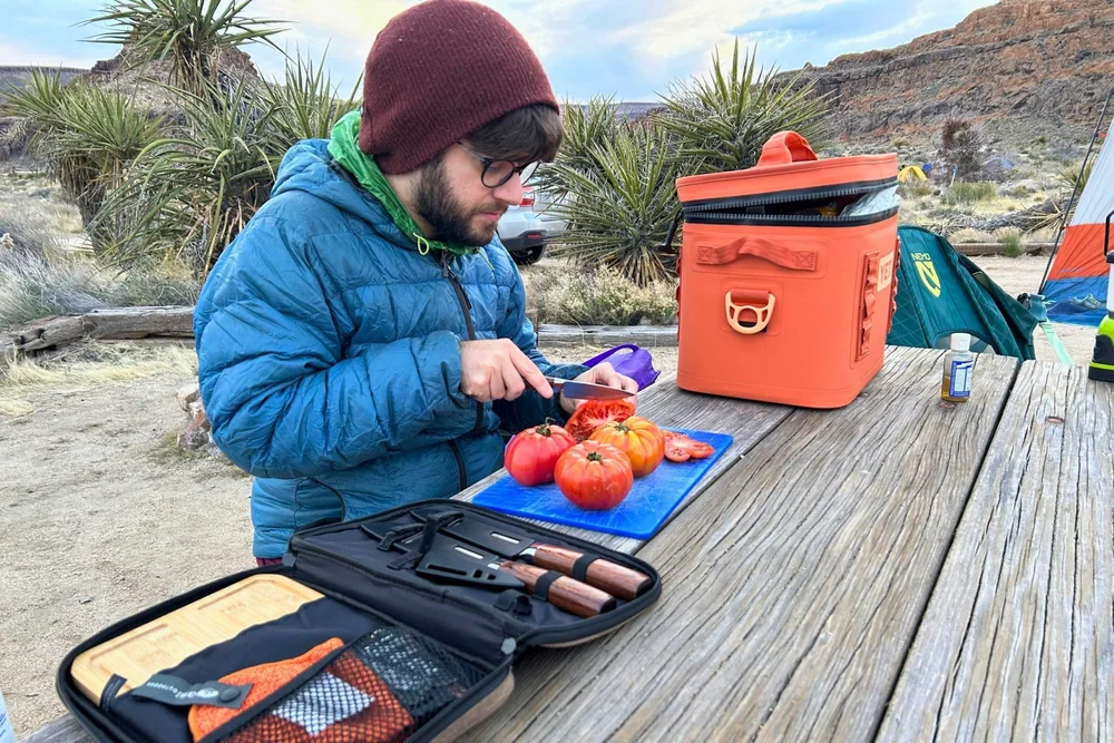 aimee kestenberg backpack travel Aimee Tamitha Backpack