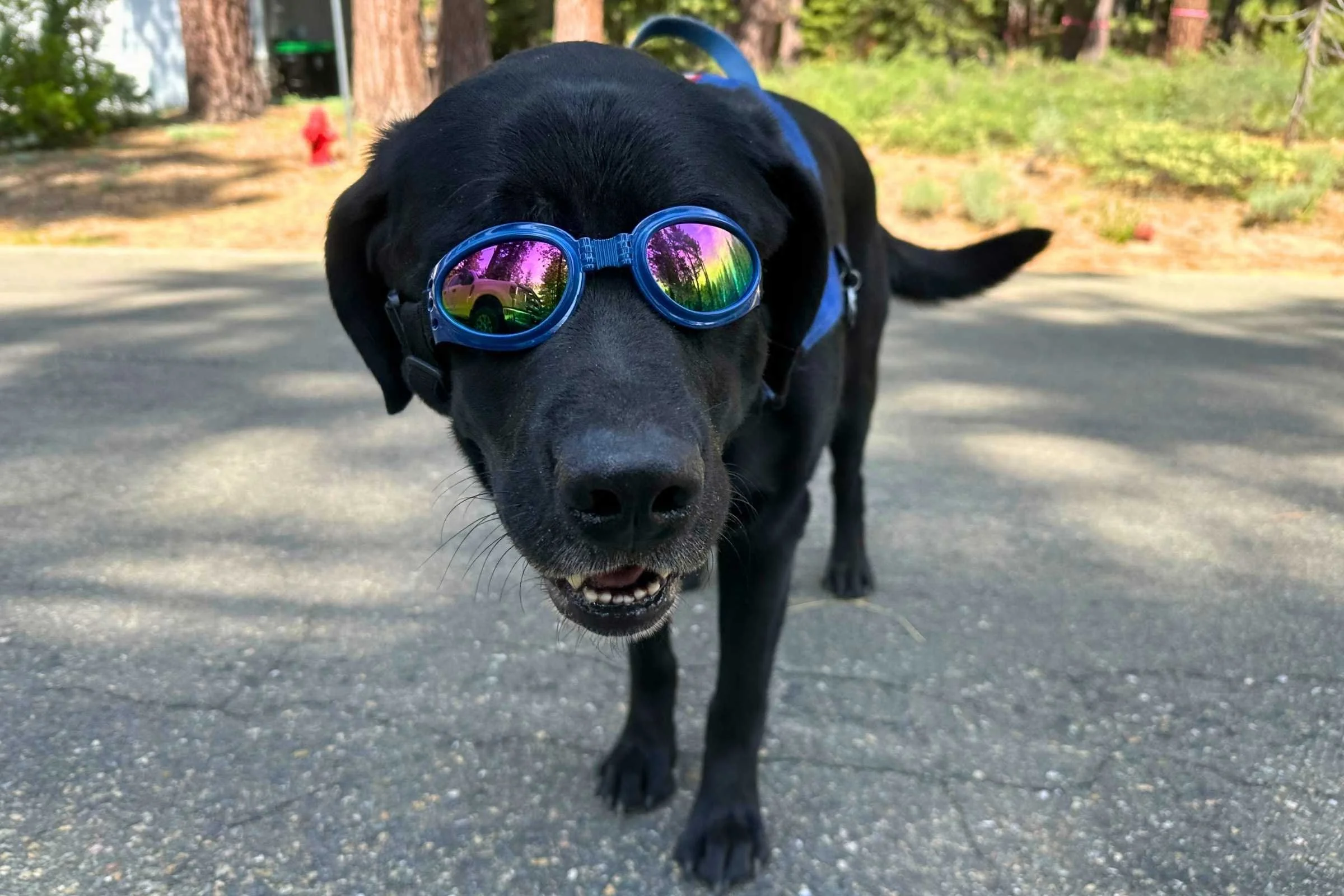 Lab testing the QUMY goggles. Photo courtesy Sara Kruglinski.