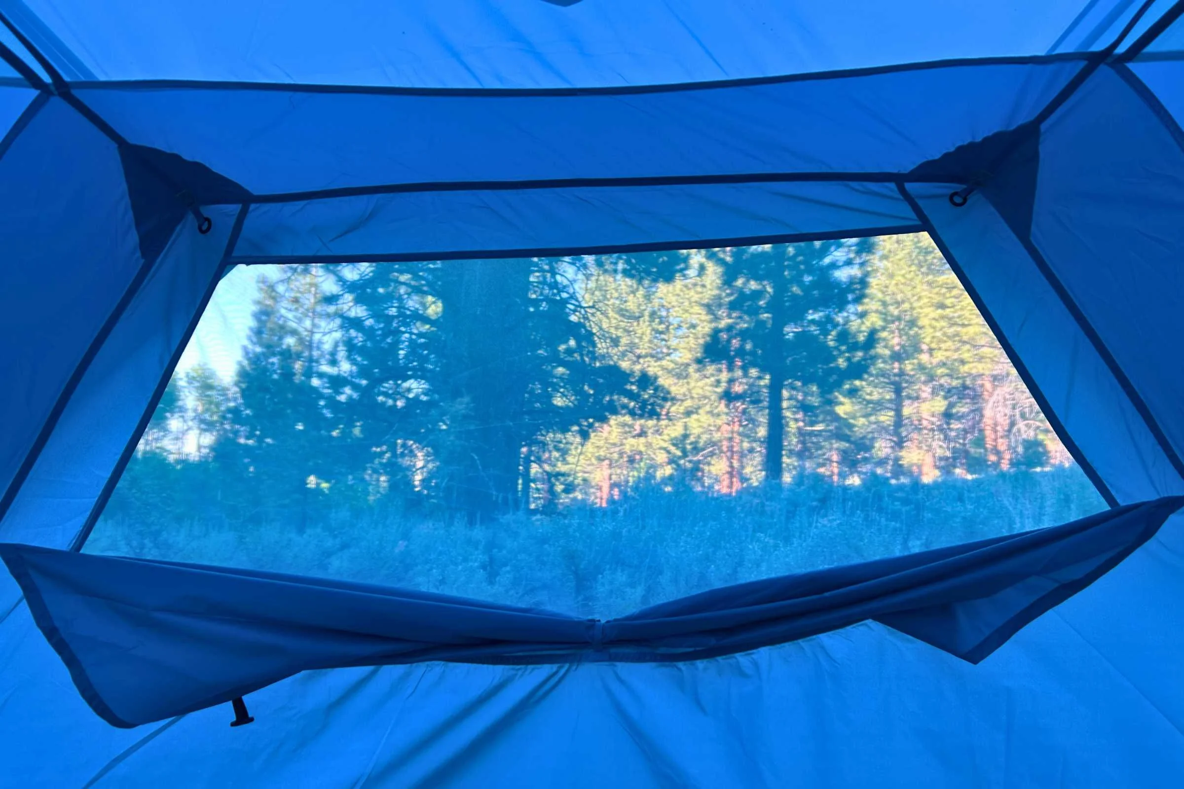 View out the net window of the NEMO Aurora Highrise camping tent