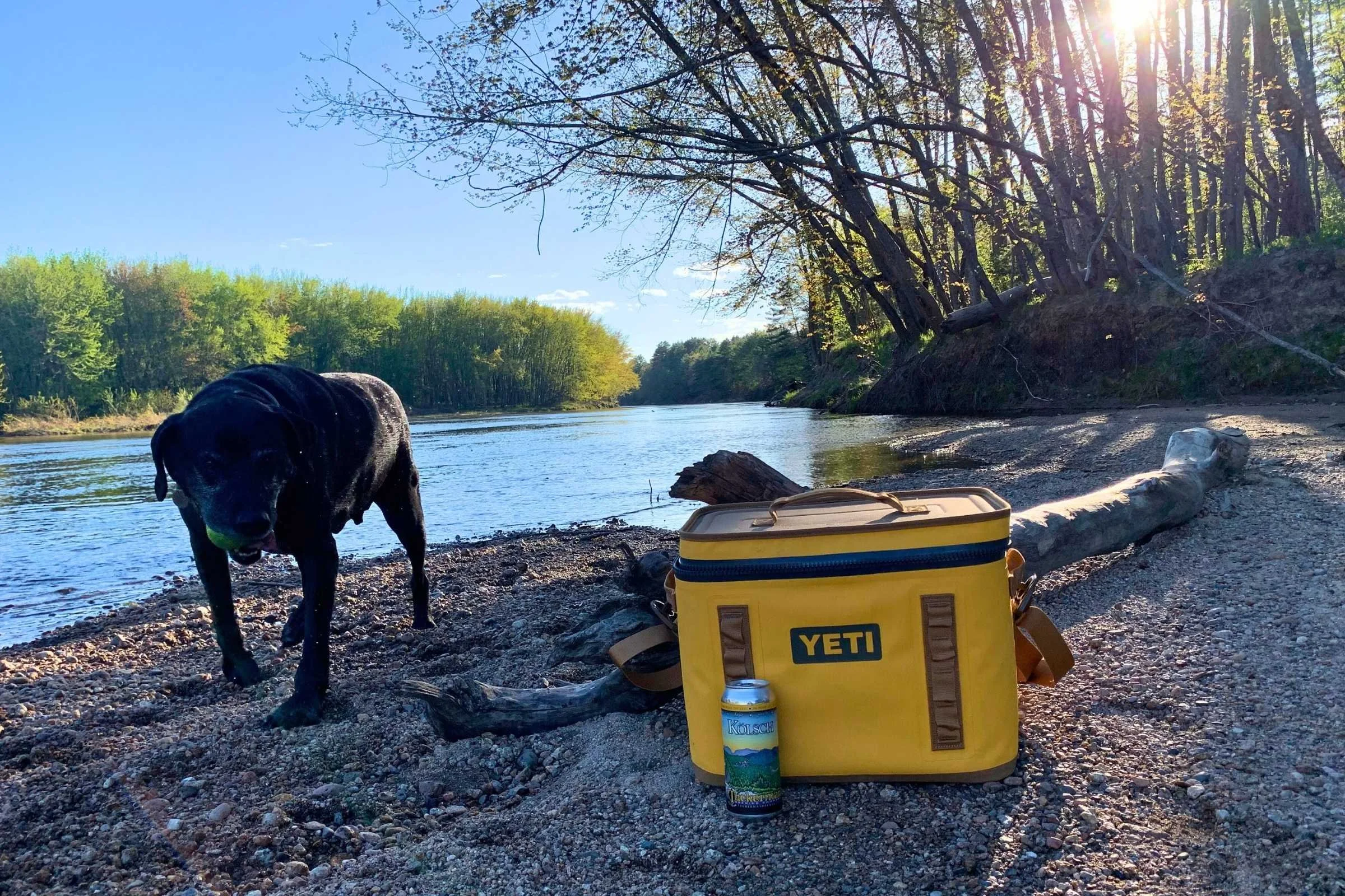 YETI Hopper Flip on. thebank of a river with a dog