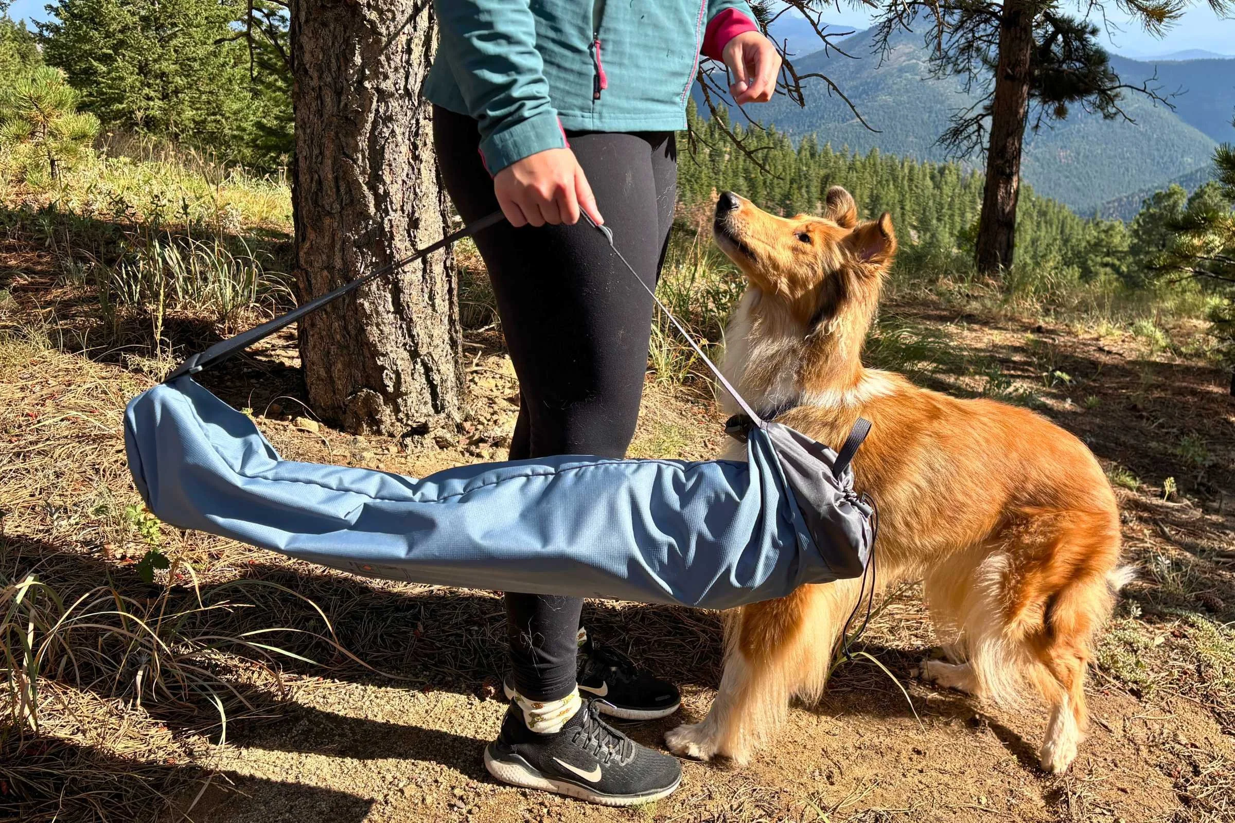 The Ruffwear Mt. EverRest Dog Cot packed up