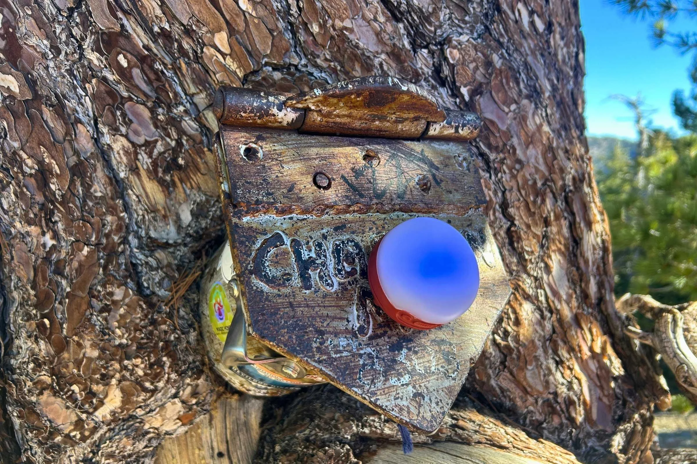 A unique feature of the Black Diamond Moji R+ is the ability to magnetically attach to vertical siding. This trail register is an old metal mail box that has grown into a tree. The Moji R+ can attach to it without any hooks simply with its magnets.