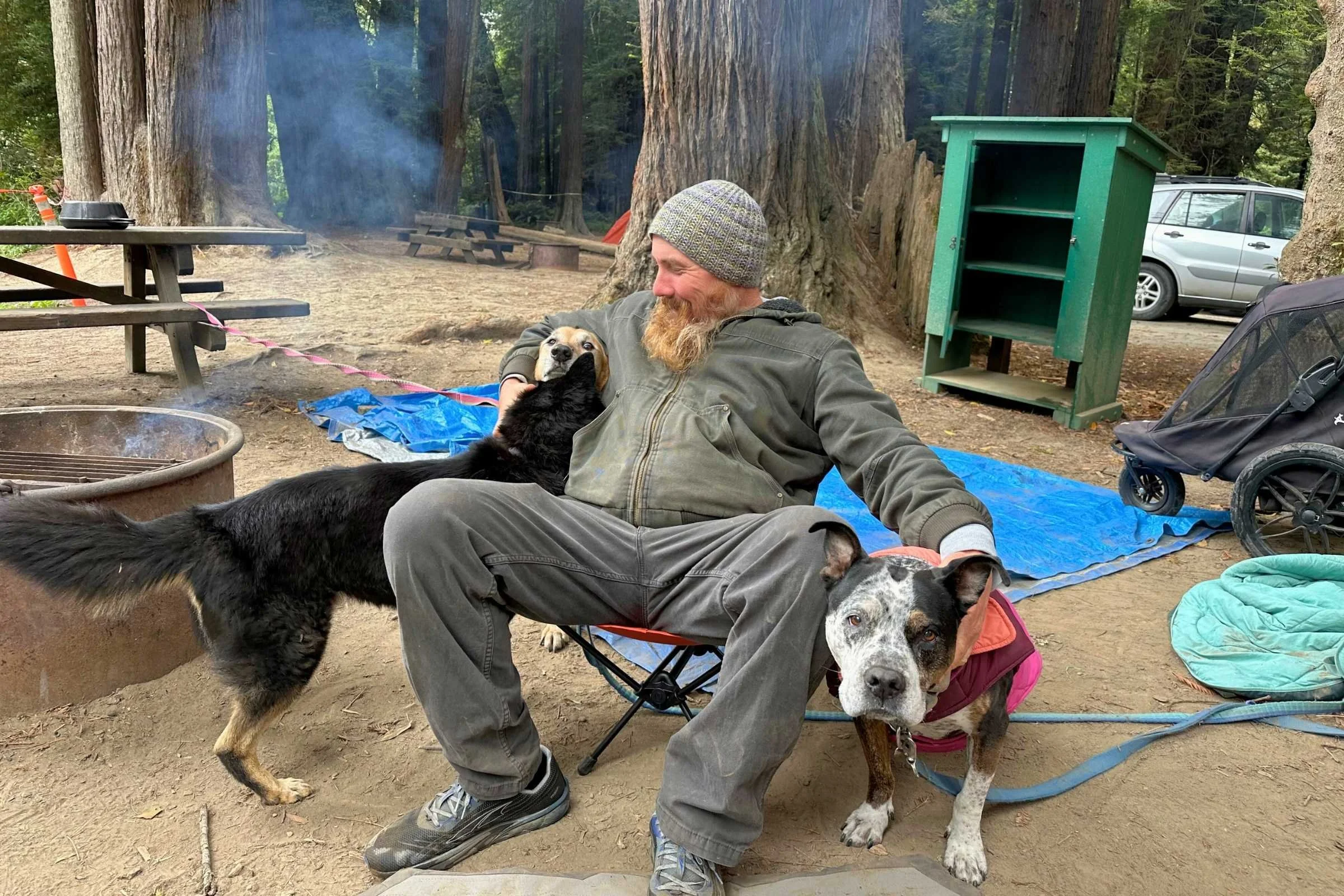 Dog Camping Essentials: What to Pack for a Safe and Fun Trip