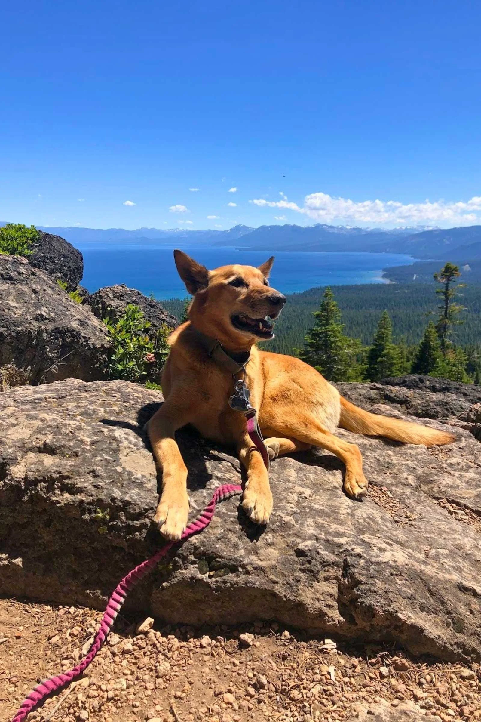Camping allows you to enjoy day hikes with your dog to beautiful locations. Photo courtesy Sara Kruglinski.
