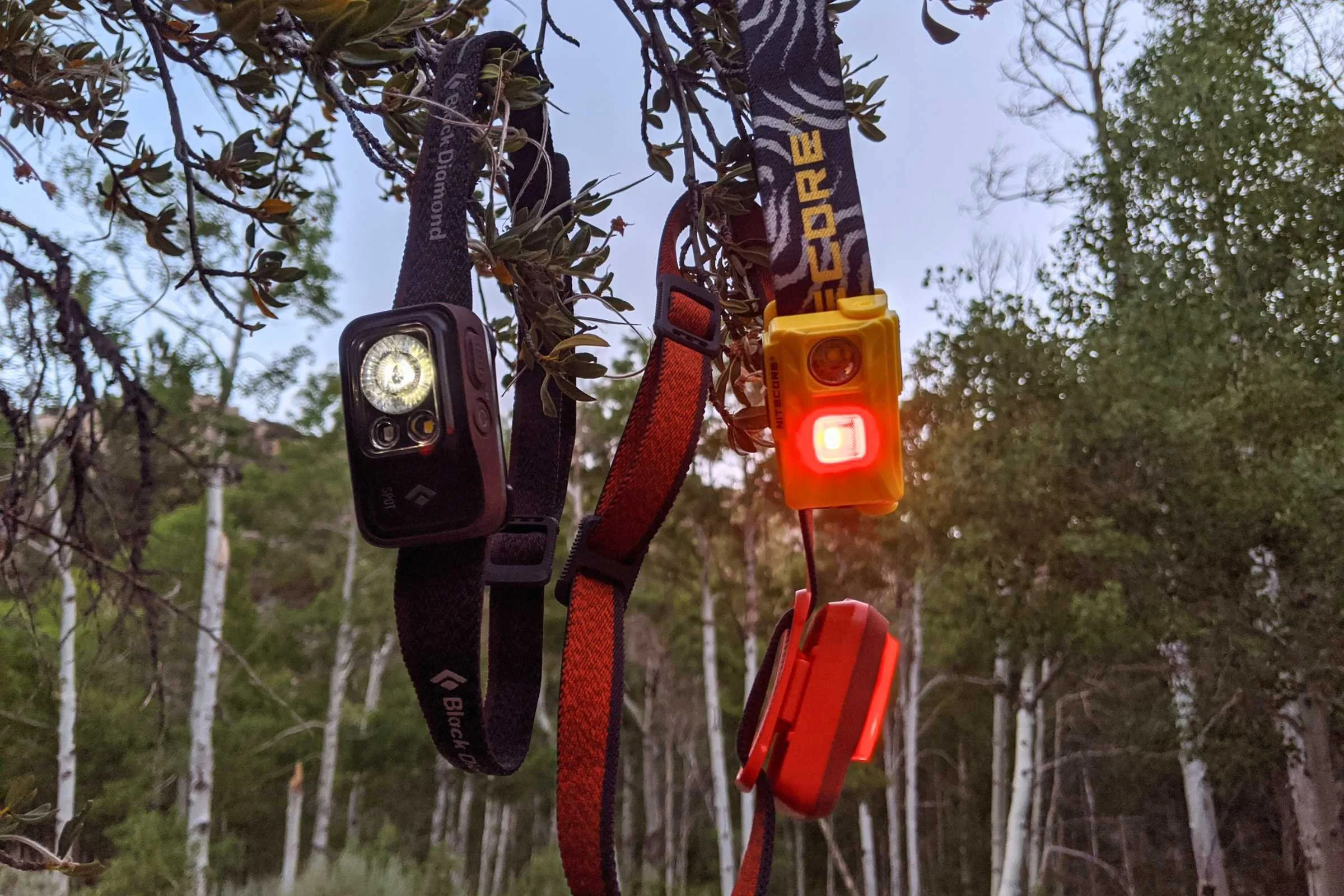 The Black Diamond Spot 400 hanging in a tree with other similar headlamps we tested.