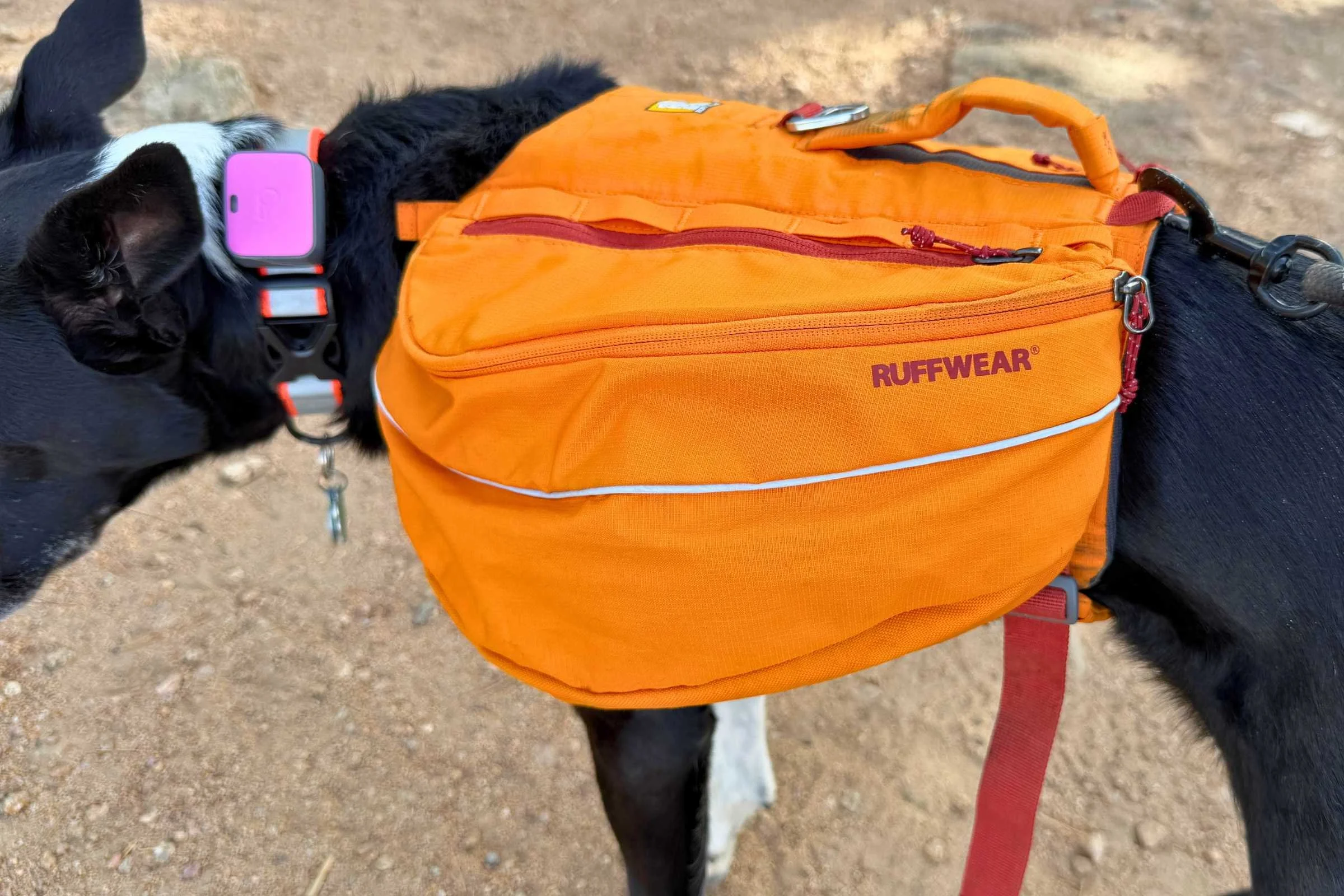   Side view of the Ruffwear Approach Dog Backpack  