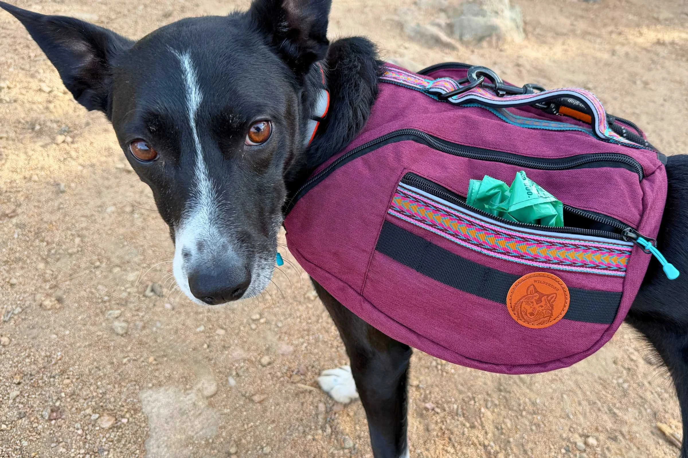   Side view of the Wilderdog Dog Backpack with open pocket  