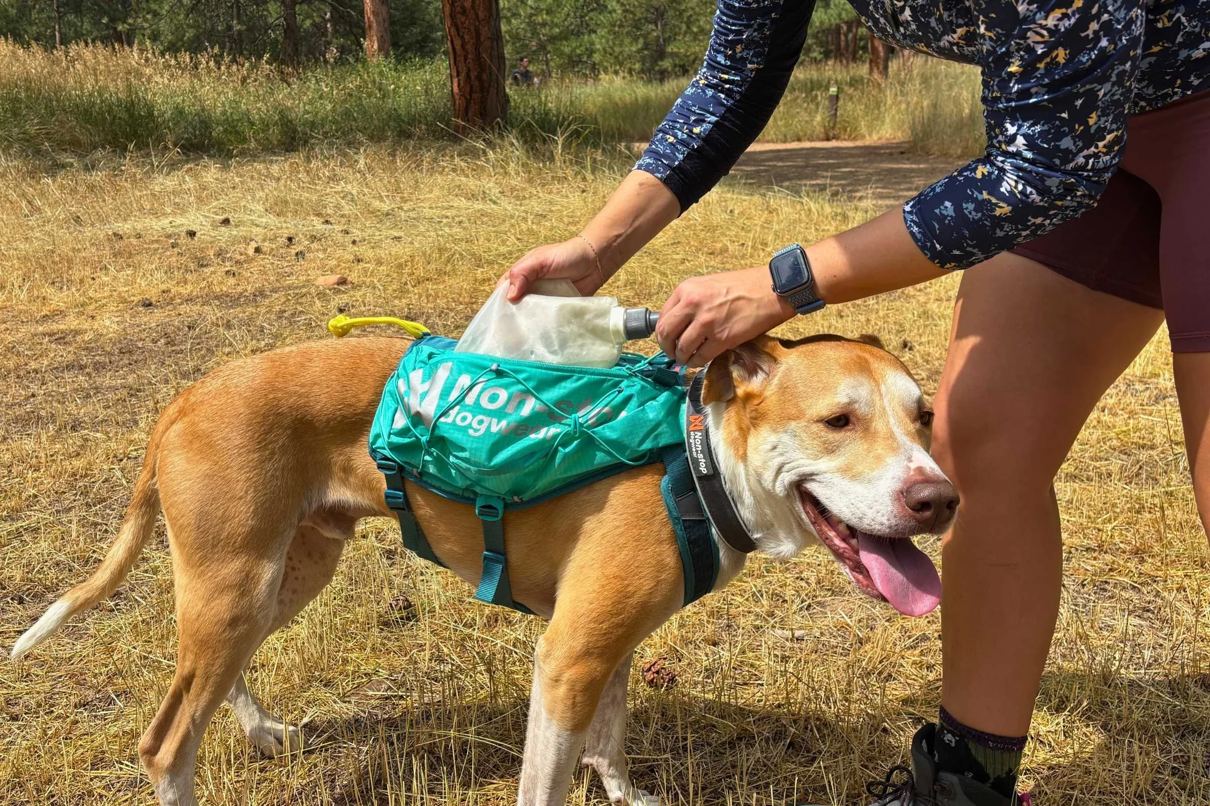   Putting a water flask into the pocket of the Non-stop Dogwear Trail Light Dog Backpack  