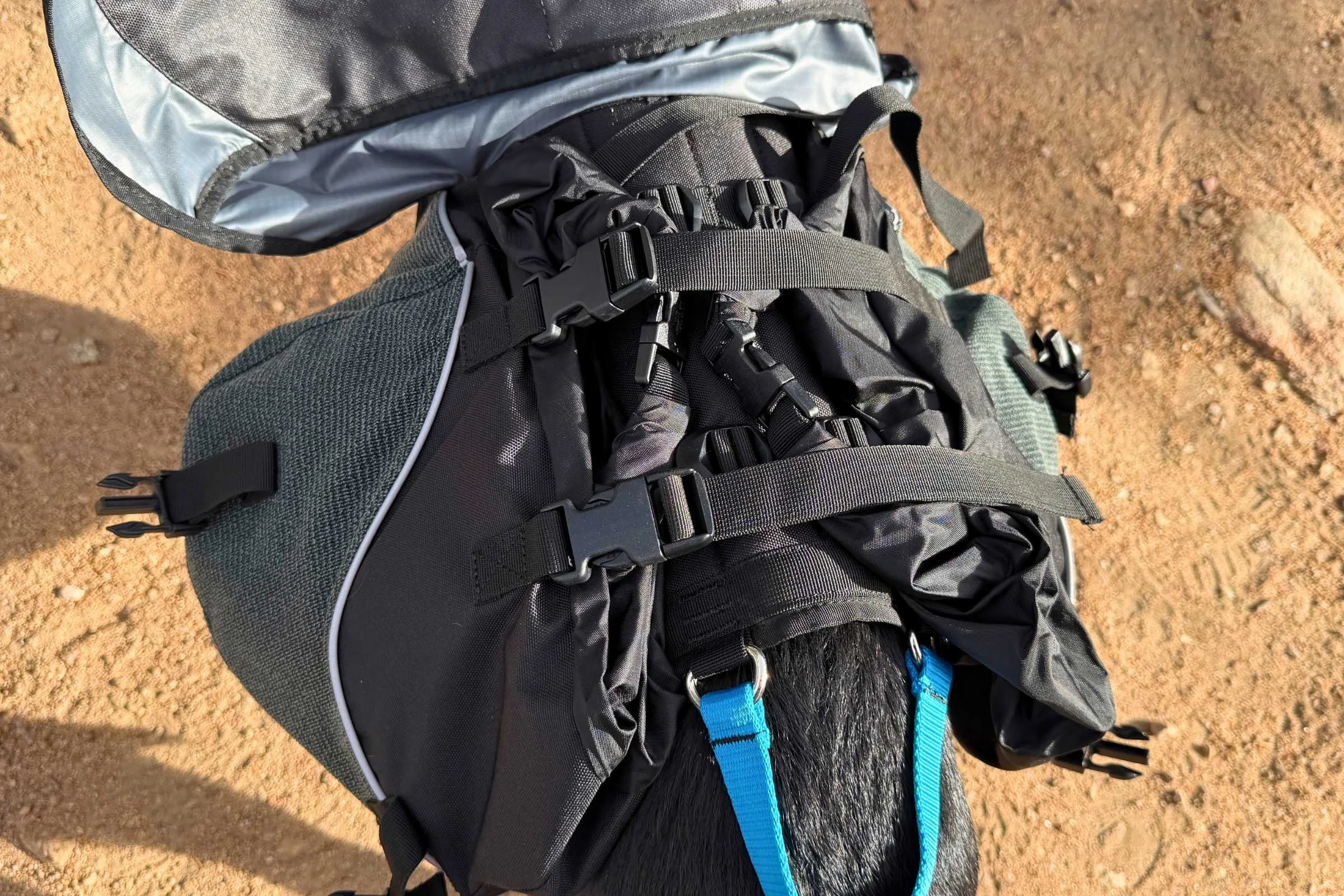   Top view of Non-stop Dogwear Amundsen Pack on a dog  