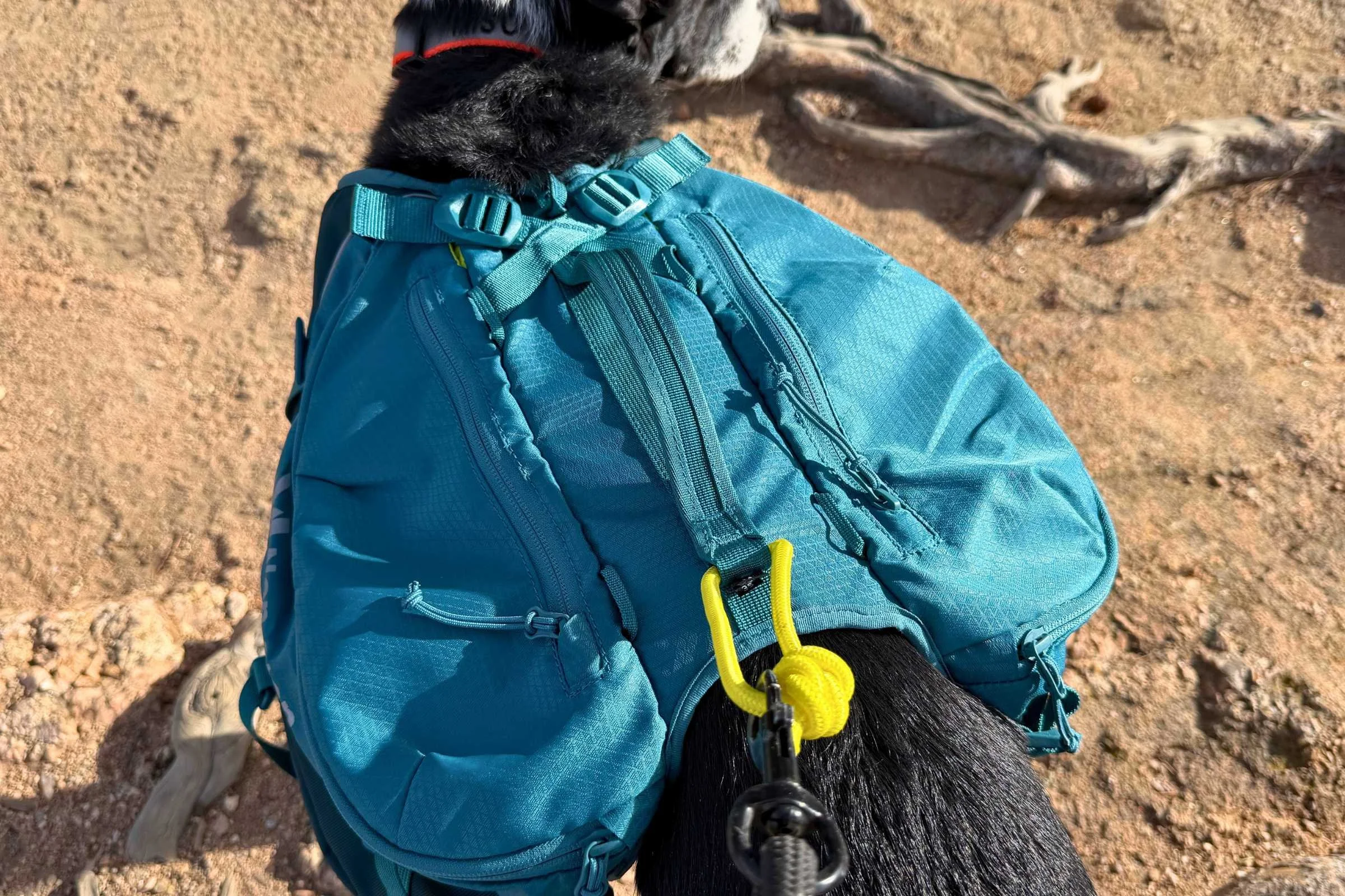   Top view and connection point of the Non-stop Dogwear Trail Quest Pack  