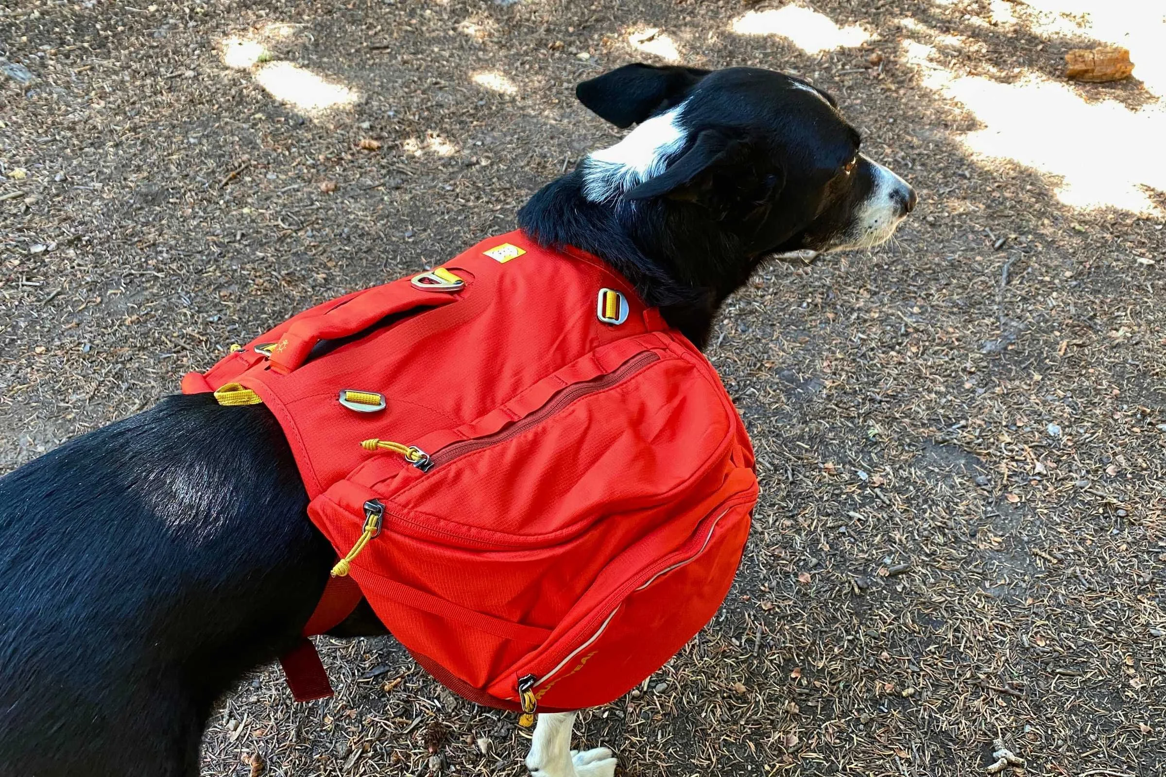   Side view of the Ruffwear Palisades Dog Pack  
