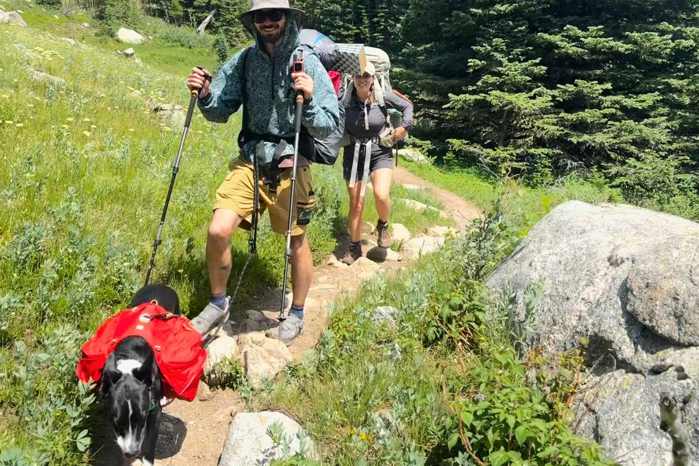   Dog backpacking with the Ruffwear Palisades Dog Pack  