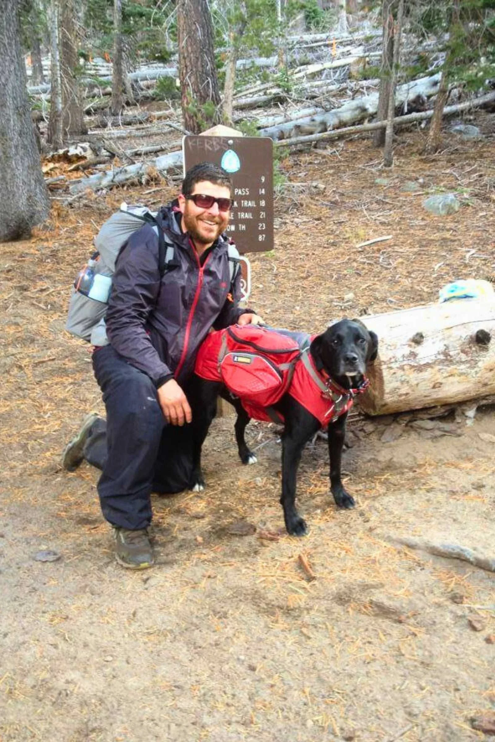   Karluk hiked the 165-mile long Tahoe Rim Trail with his owner using the Ruffwear Palisades pack.   Photo courtesy Whitney LaRuffa.  