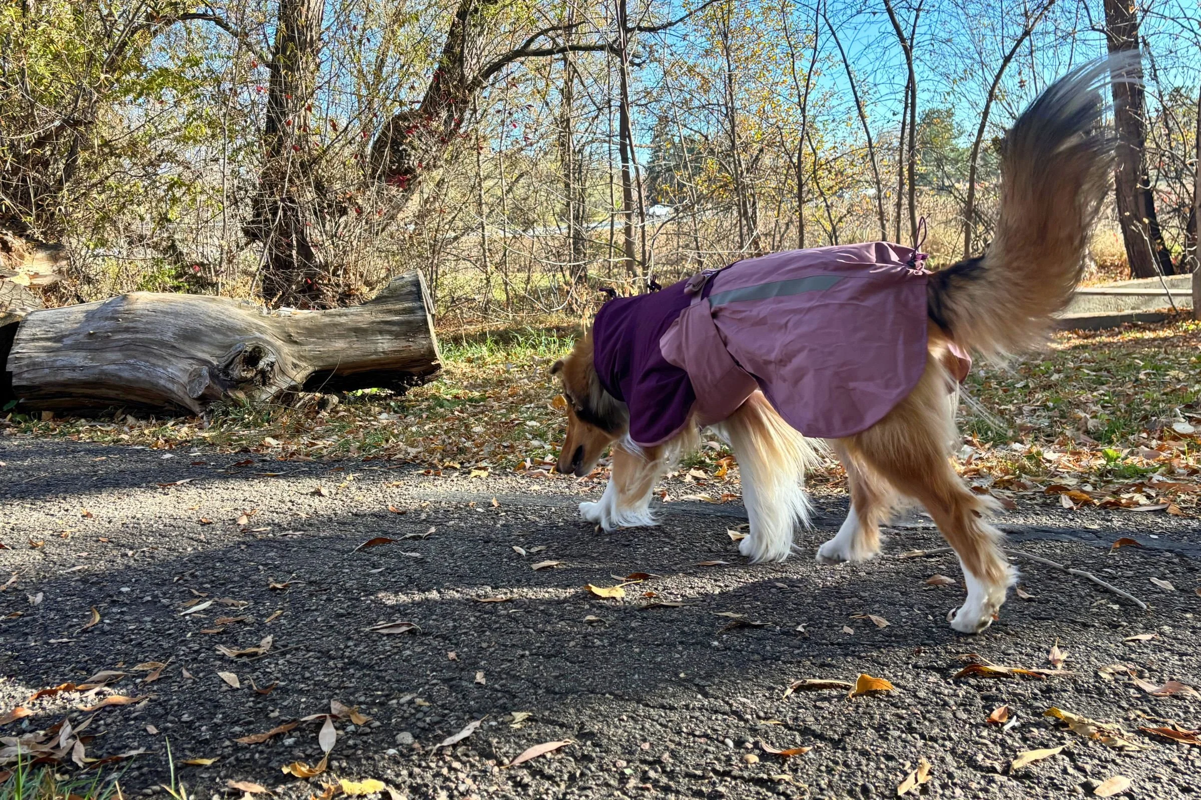   The Fjord 2.0 Raincoat allows for free range of movement, thanks to the thoughtful design around the chest and shoulders.&nbsp;  Photo by Jae Thomas  