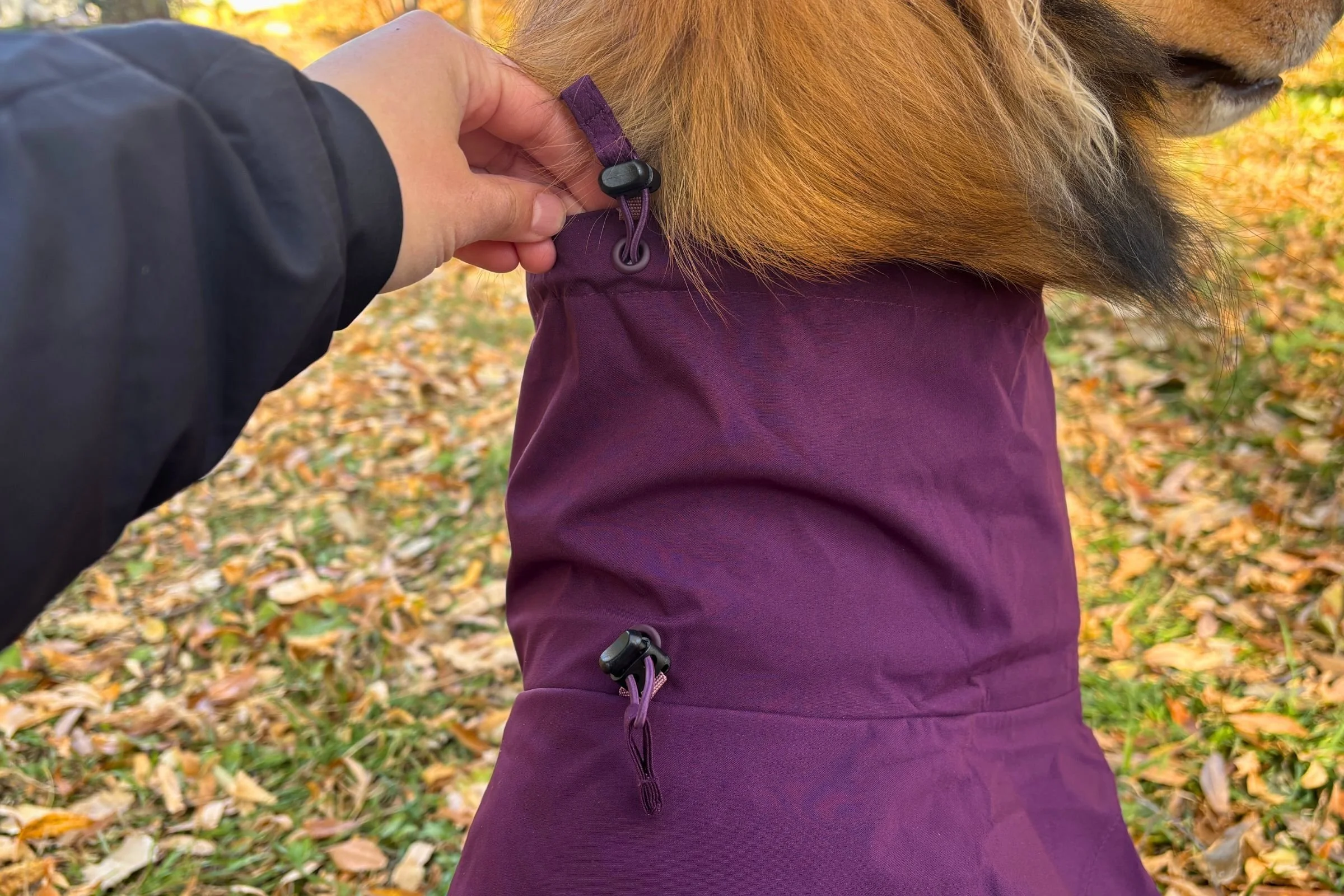   Adjustable cinch closures at the neck and shoulders allow you to customize the fit of this jacket for your dog, and ensure no water gets into the neck opening.   Photo by Jae Thomas  
