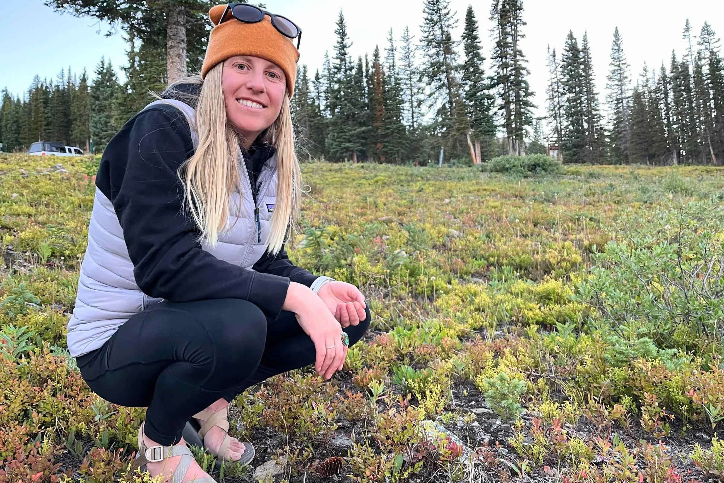   Woman squatting in a meadow wearing a Patagonia Down Sweater Vest  