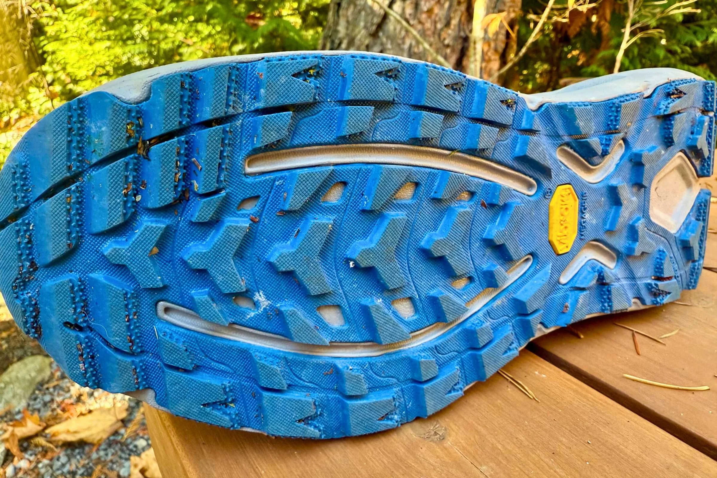   Tiny teeth help to bite down on mud and loose dirt.   Photo by Ebony Roberts  