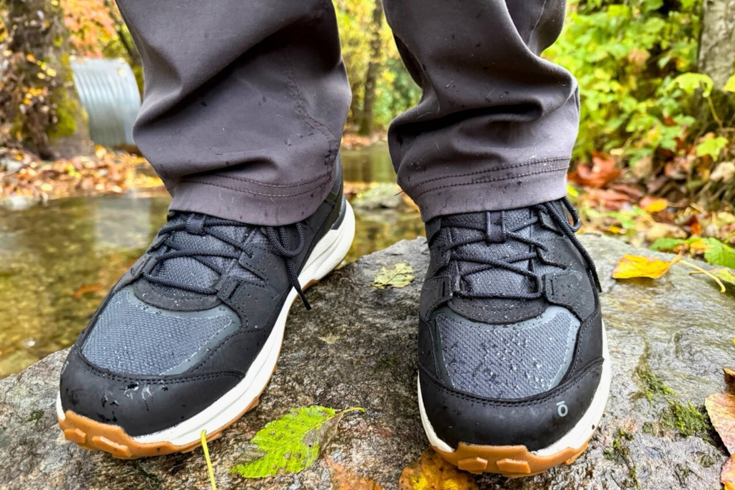   Waterproof B-DRY protection keeps feet dry in any weather.   Photo by Steve Redmond.&nbsp;  