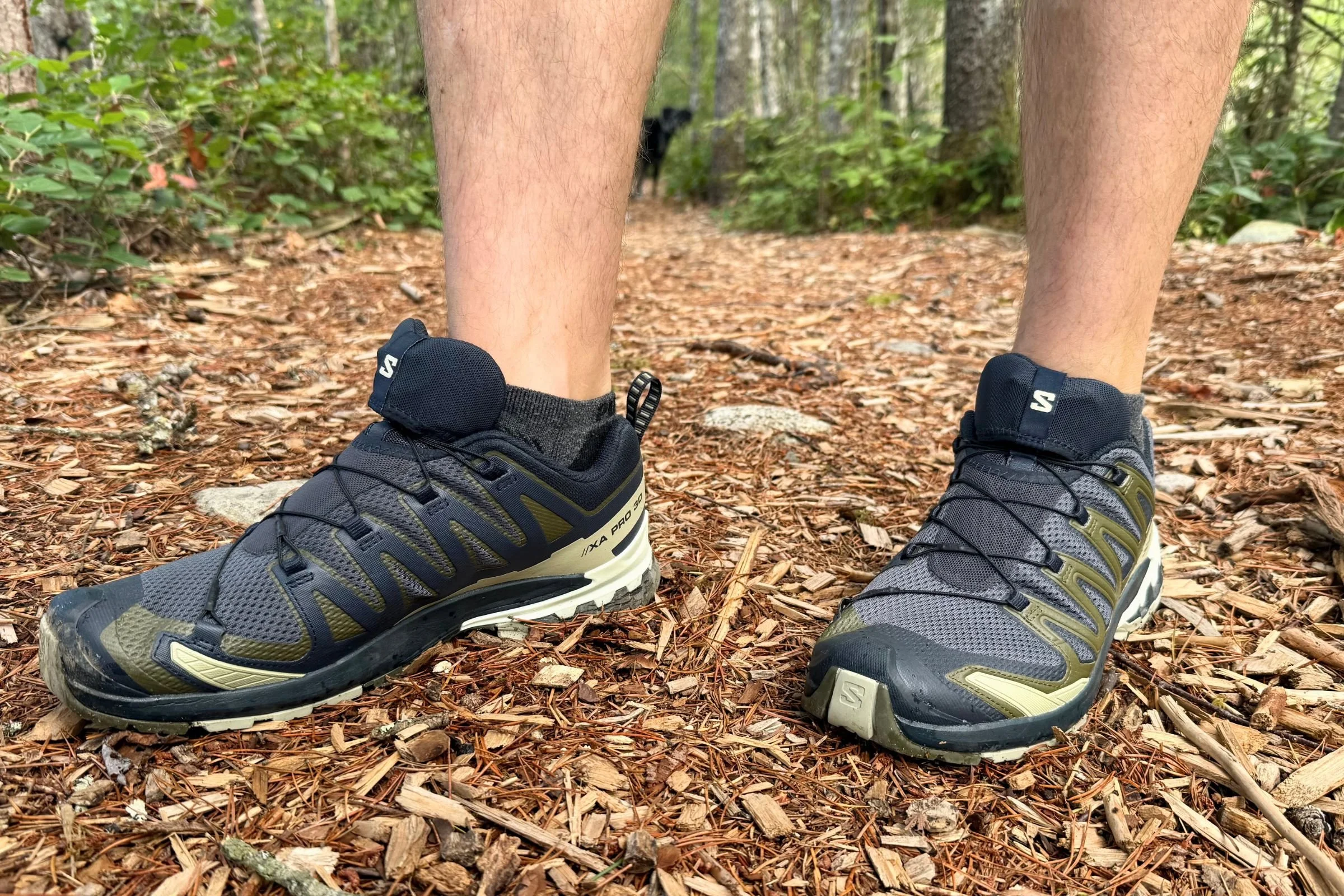   Classic Salomon overlays—protective and unmistakable on the trail.   Photo by Ebony Roberts  