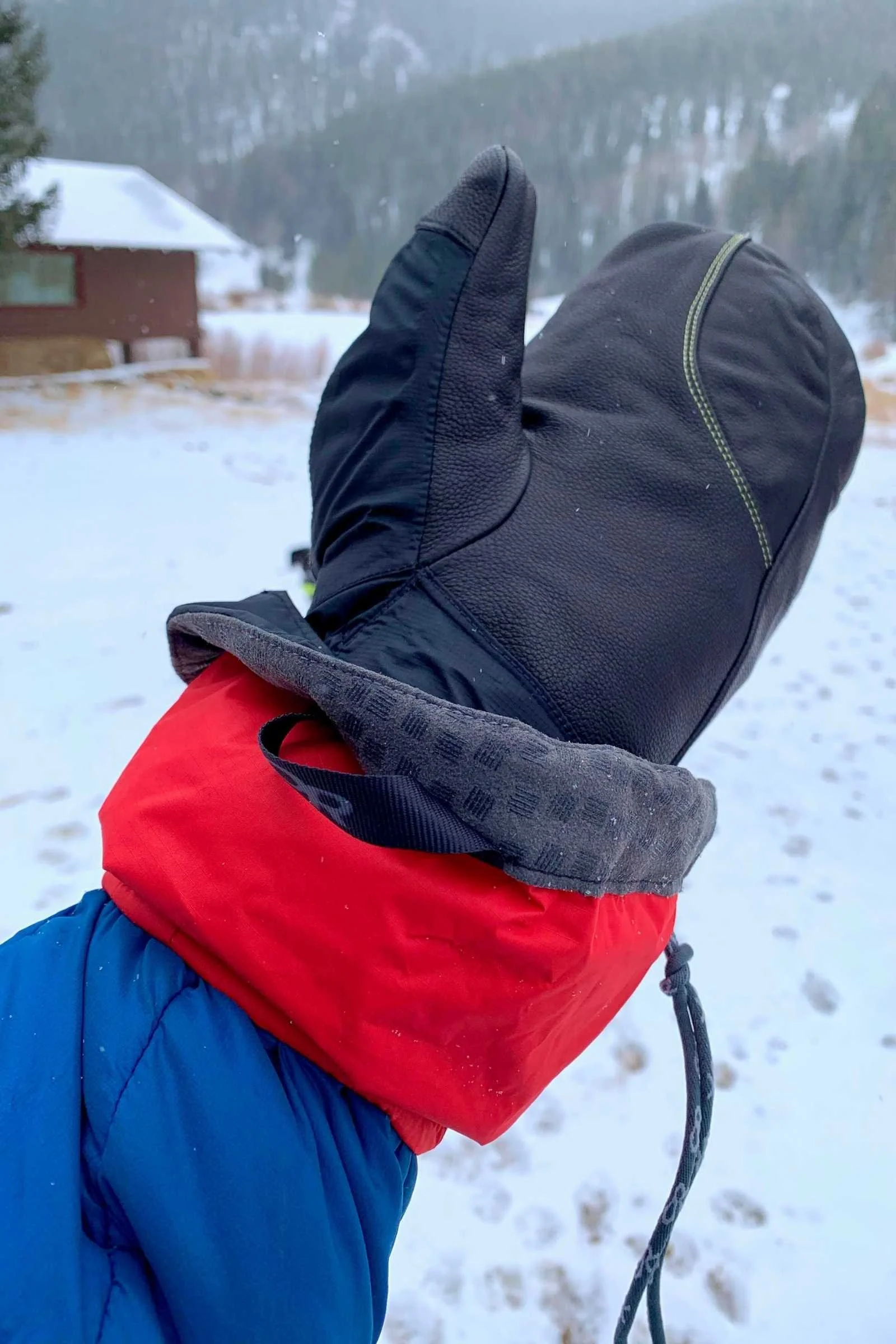   Outdoor Research Alti II Mitt with liner  