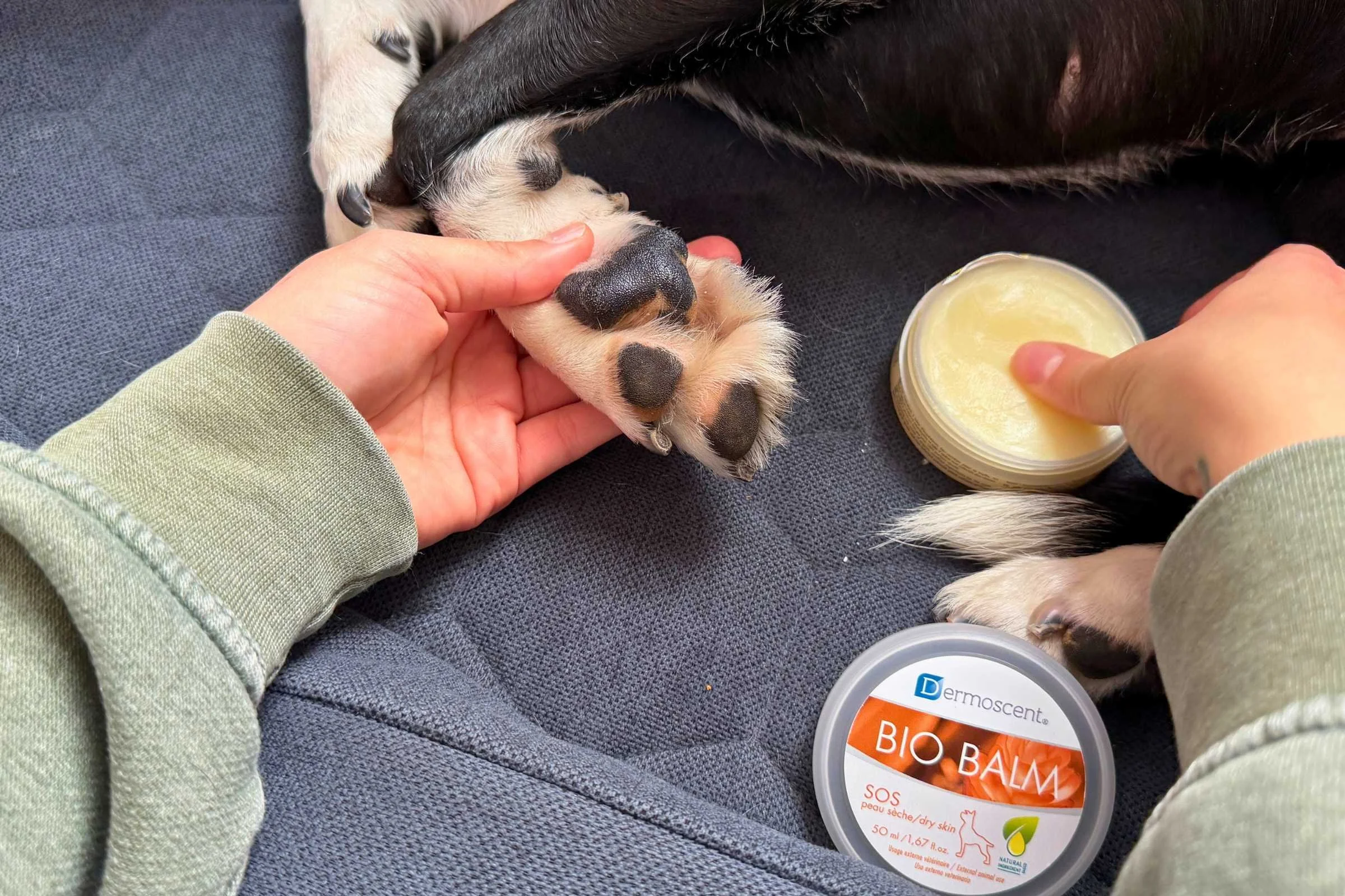   The Dermoscent balm is quite oily, but it does a great job at moisturizing and soothing irritation.  