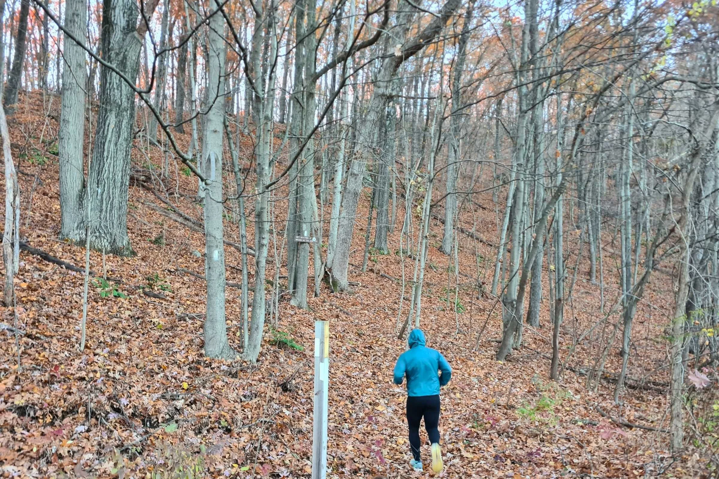   2XU Ignition Shield Compression Tights out on the trail.   Photo by Tobias Davis.  