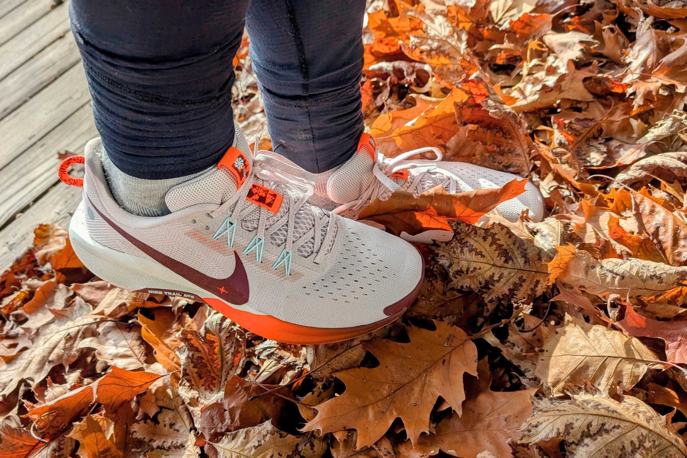   The Pegasus looks great, making it a good shoe for everyday adventures as well as running.  