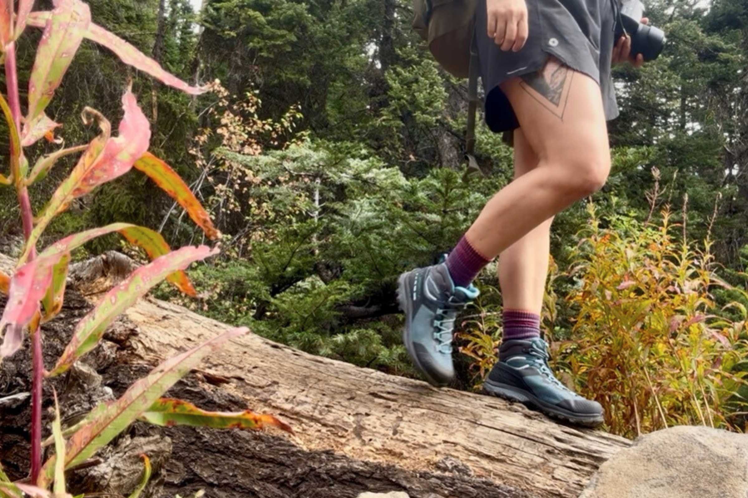   Walking across a log in the La Sportiva TX Hike Mid boots  