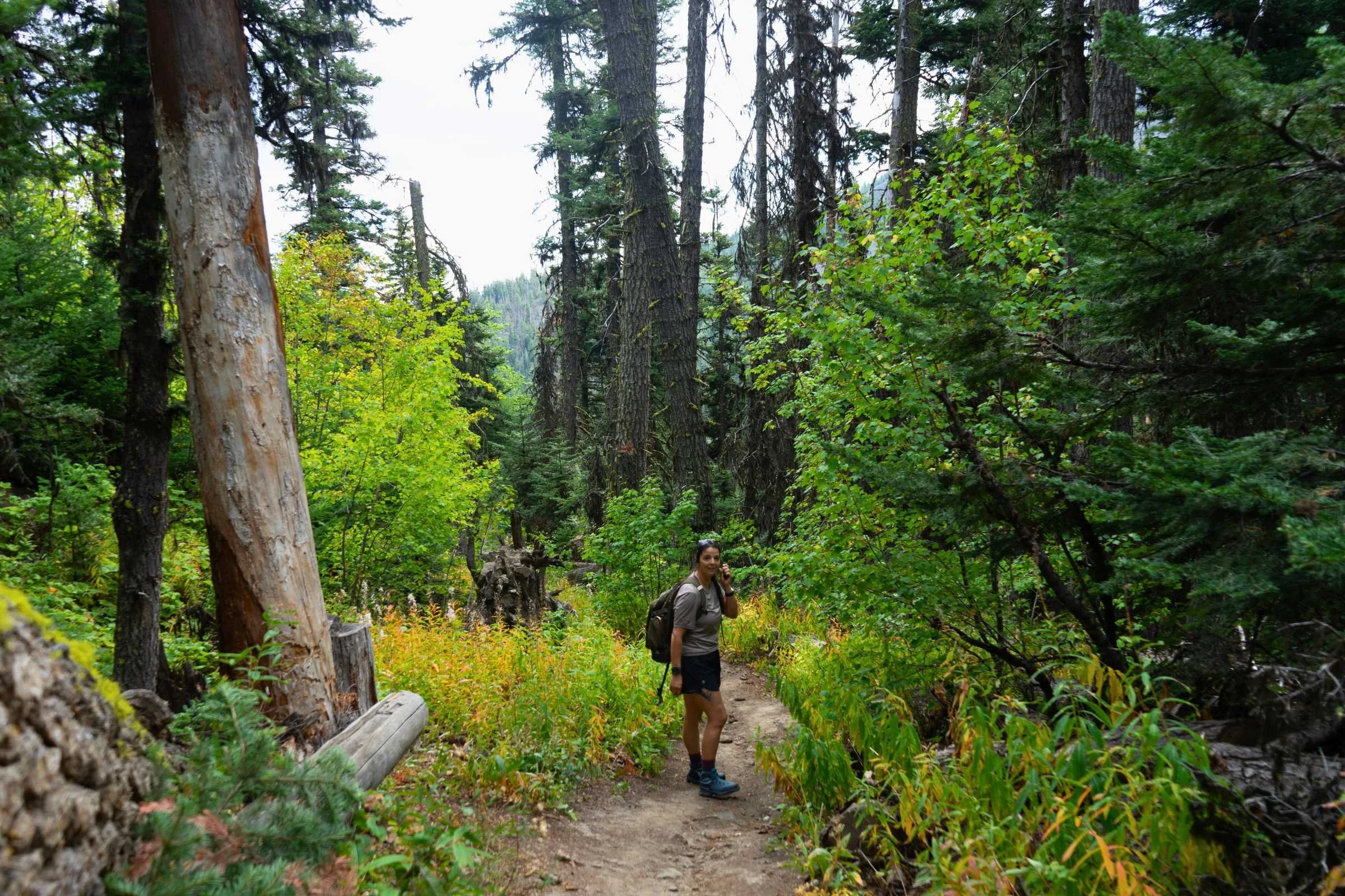   Hiking a wooded trail in the La Sportiva TX Hike Mid boots  