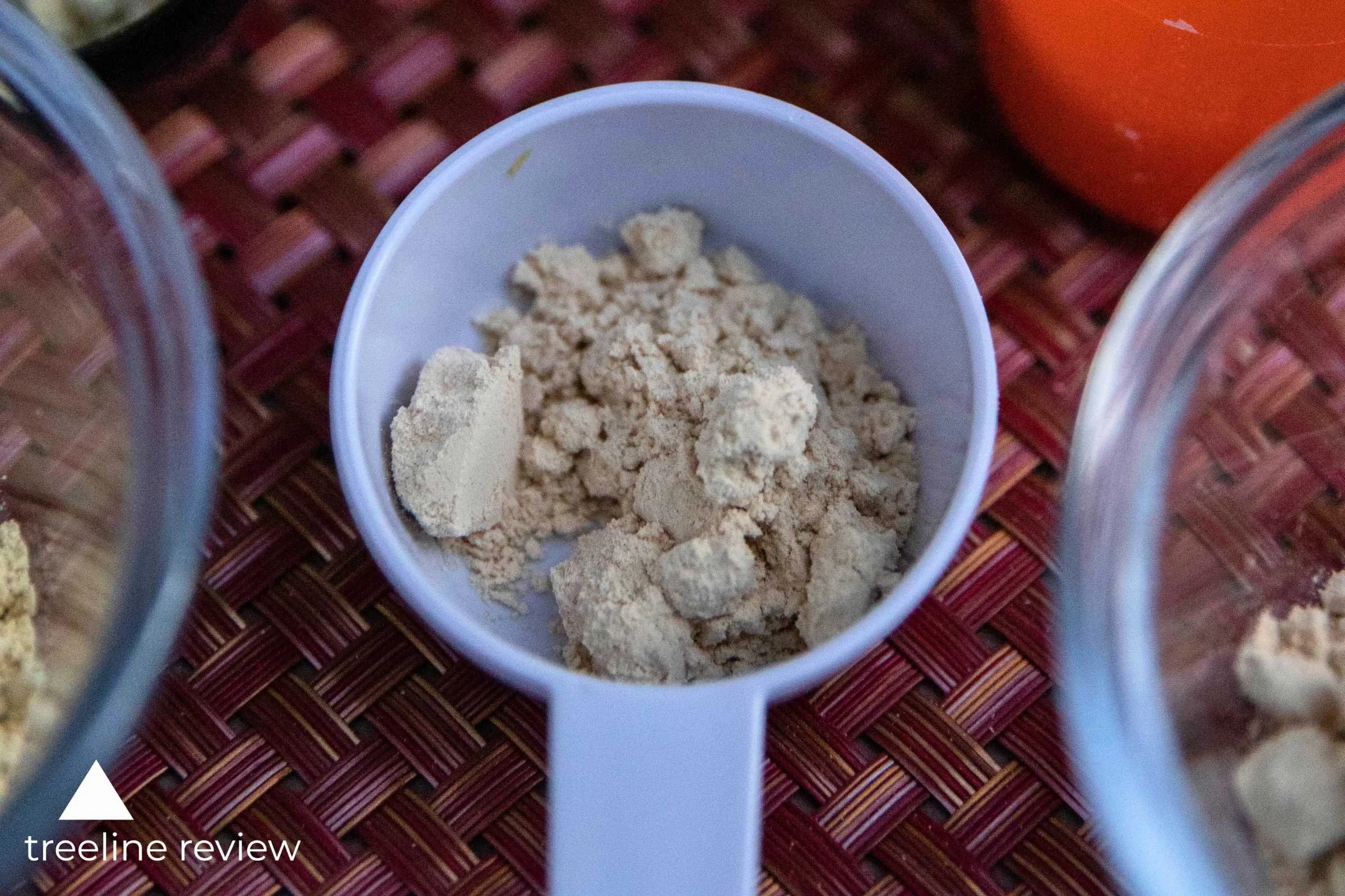   Close-up of the Garden of Life Sport vegan protein powder.   Photo by John Carr.  