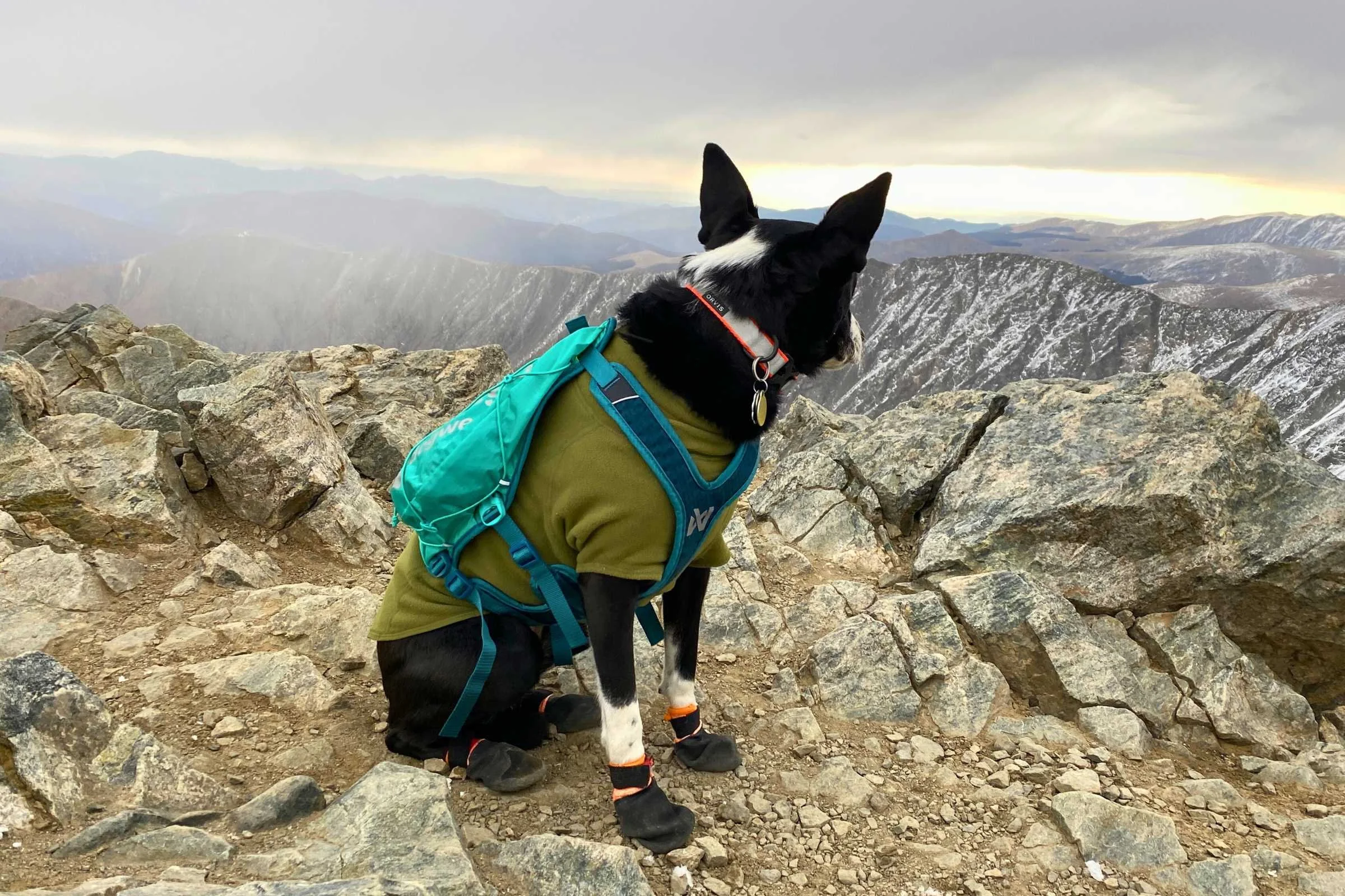   The Climate Changer is thin enough to wear underneath a harness or dog backpack in chilly weather.   Photo by Jae Thomas  