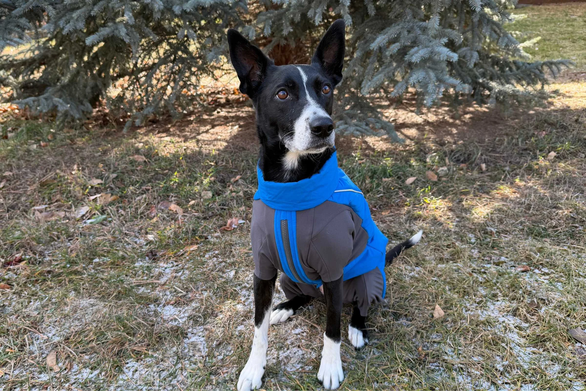   The zipper goes from the chest to the belly, and can be hard to access. It also must be locked to prevent unzipping.   Photo by Jae Thomas  