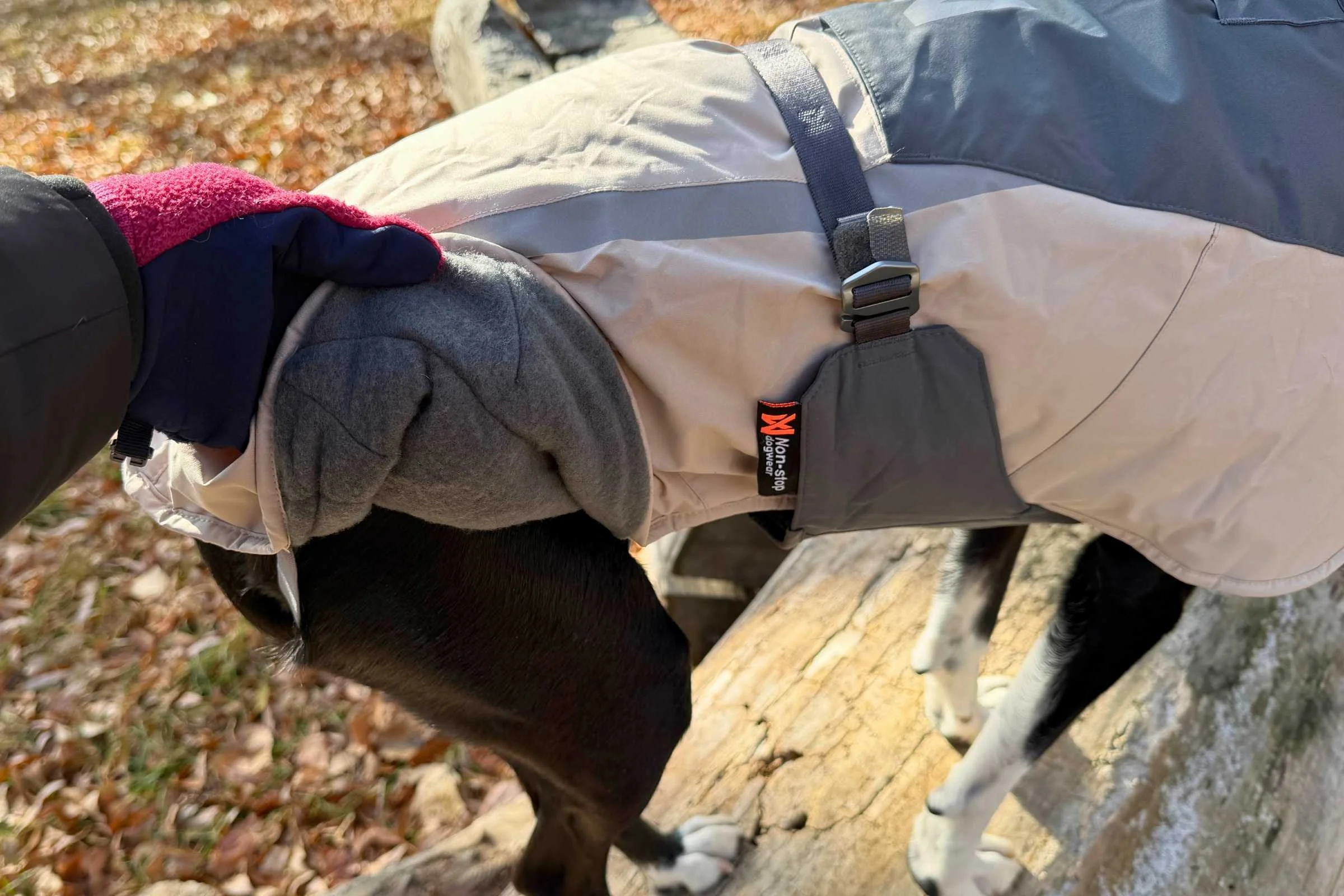   Wool lining makes this Non-stop Dogwear coat super warm, but difficult to clean.   Photo by Jae Thomas  