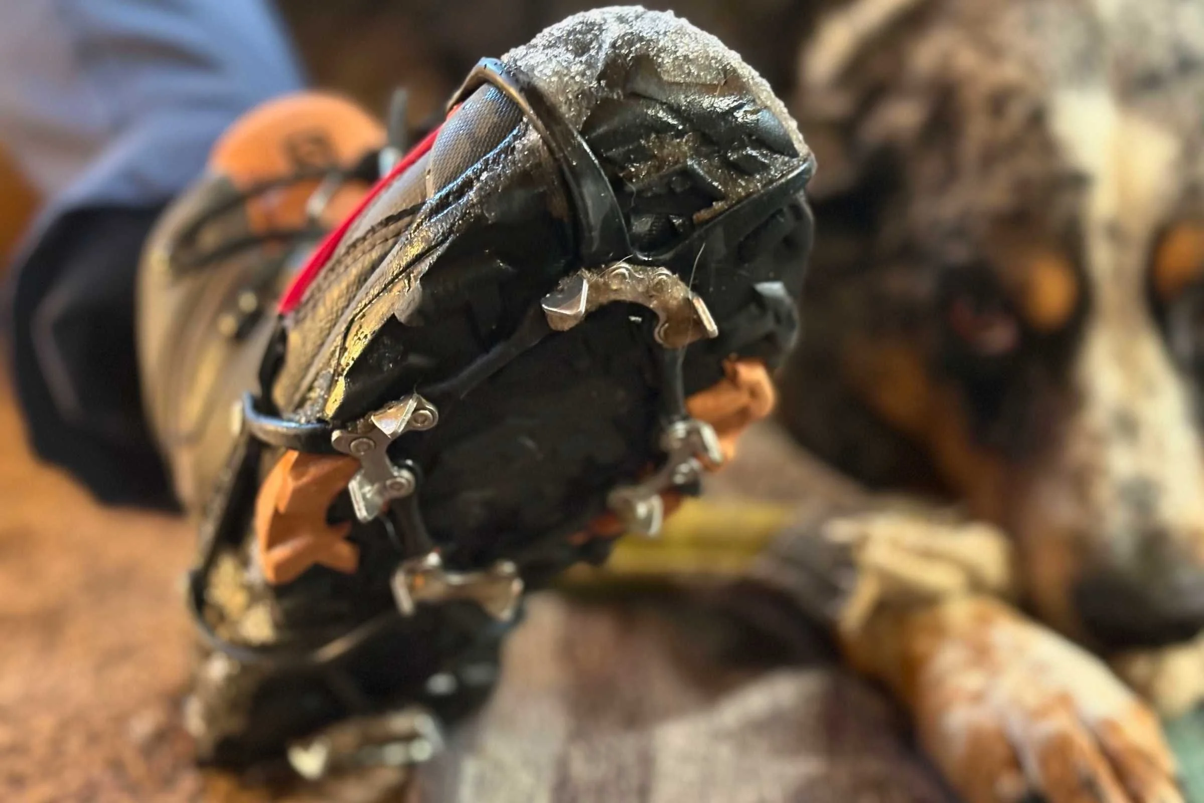 Kahtoola MICROspikes Ghost Footwear Traction Review