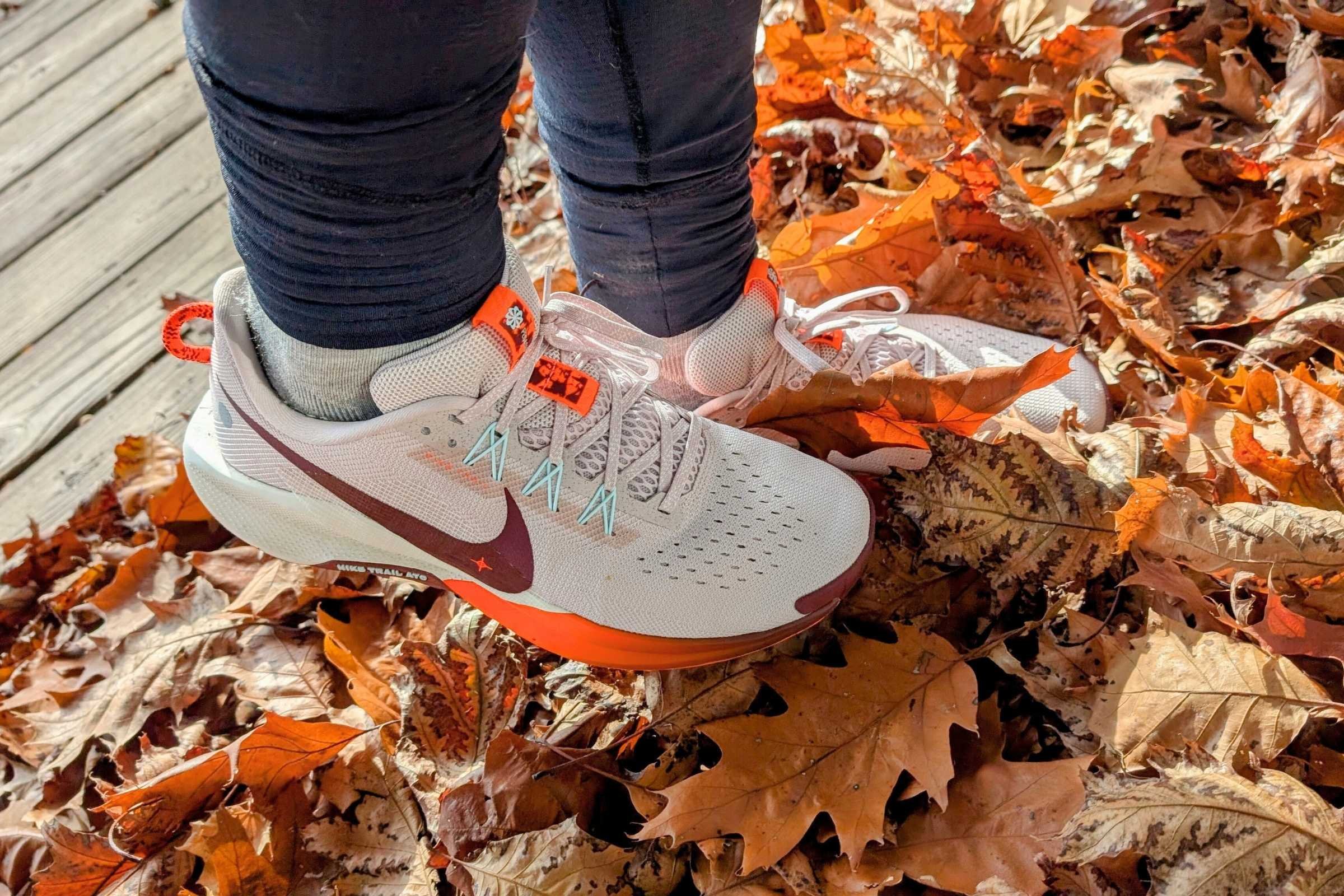   Nike Pegasus 41 road running shoes  