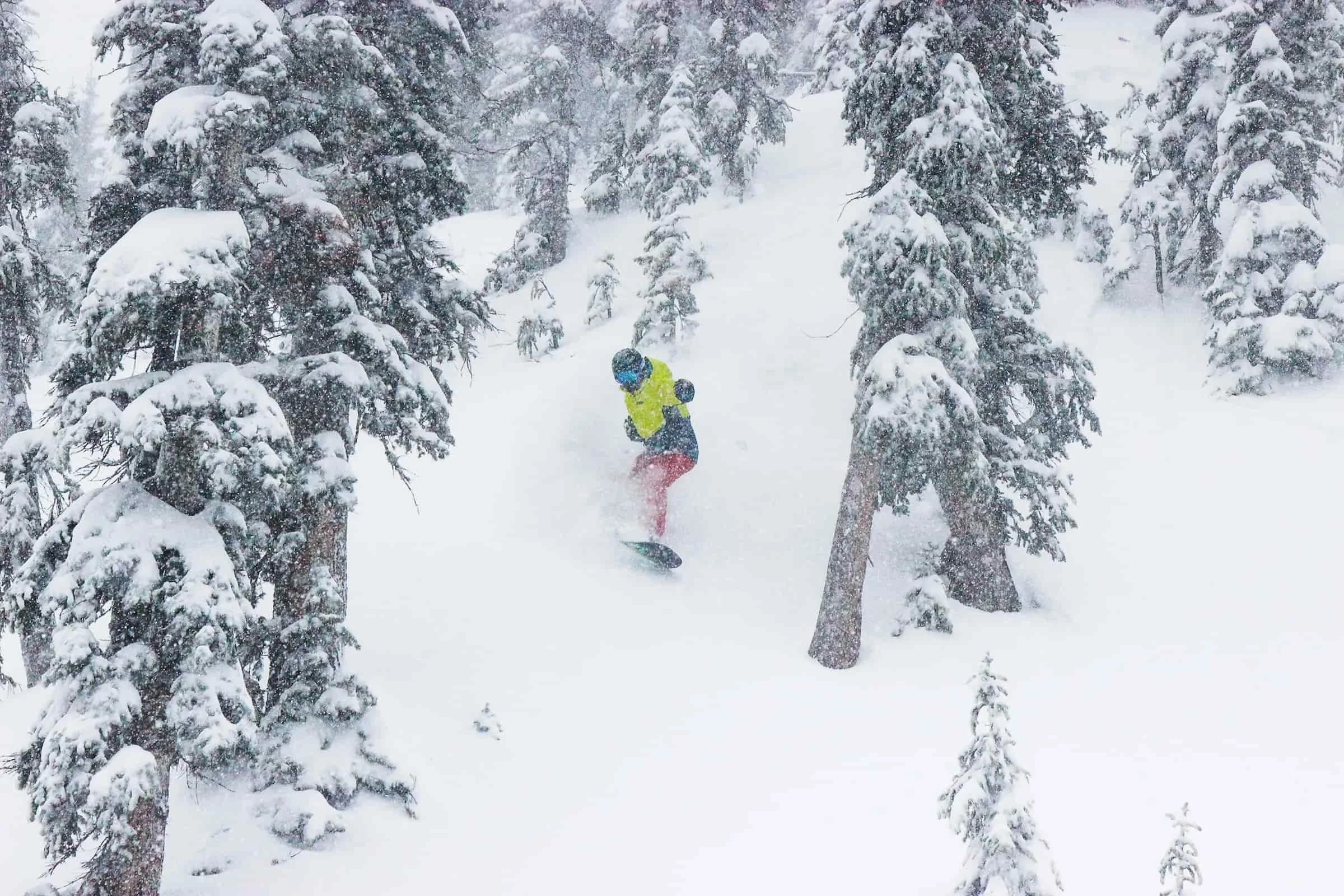   Snowboarder riding through trees in Patagonia 3-in-1 Powder Town jacket  